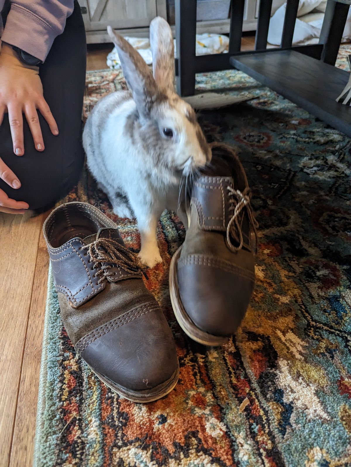 Photo by hooknpunch on April 1, 2023 of the Self-Made Derby Boot in Unlisted Leather.