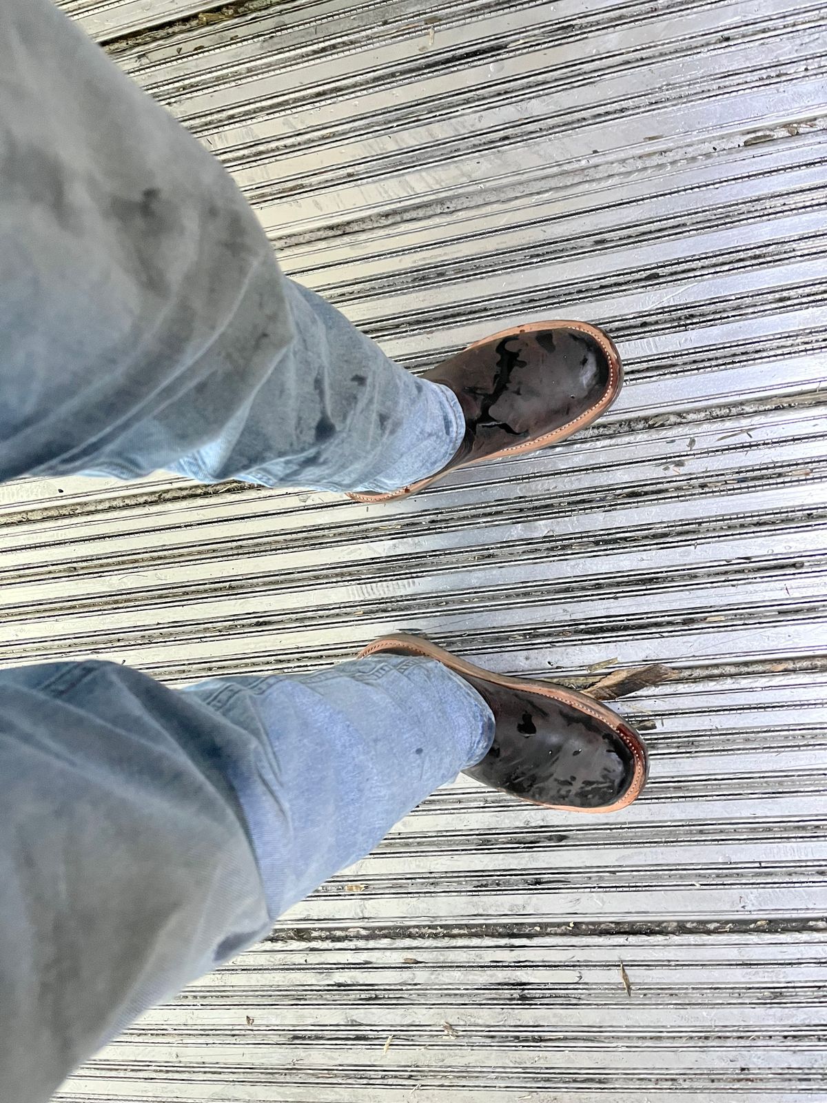 Photo by horriblepapas10 on November 6, 2022 of the Fenoglio Round Toe Work Boots in Chocolate Fuji.