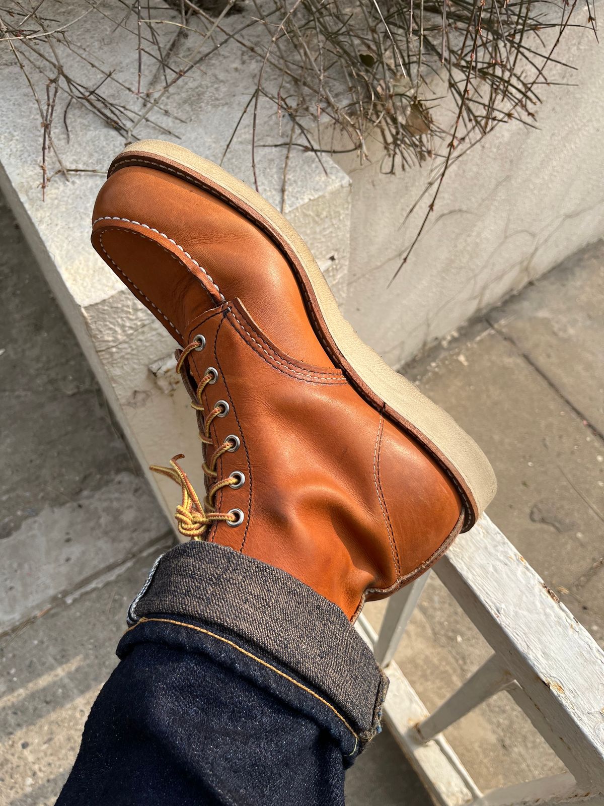 Photo by mr_spud on February 4, 2024 of the Red Wing 6-Inch Classic Moc in S.B. Foot Oro Legacy.