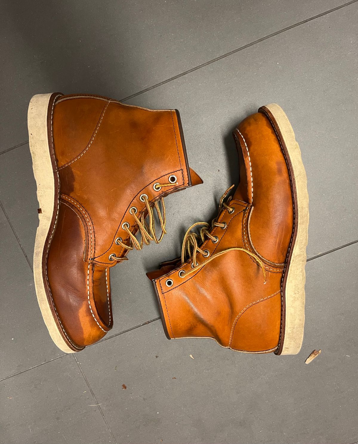 Photo by mr_spud on July 11, 2024 of the Red Wing 6-Inch Classic Moc in S.B. Foot Oro Legacy.