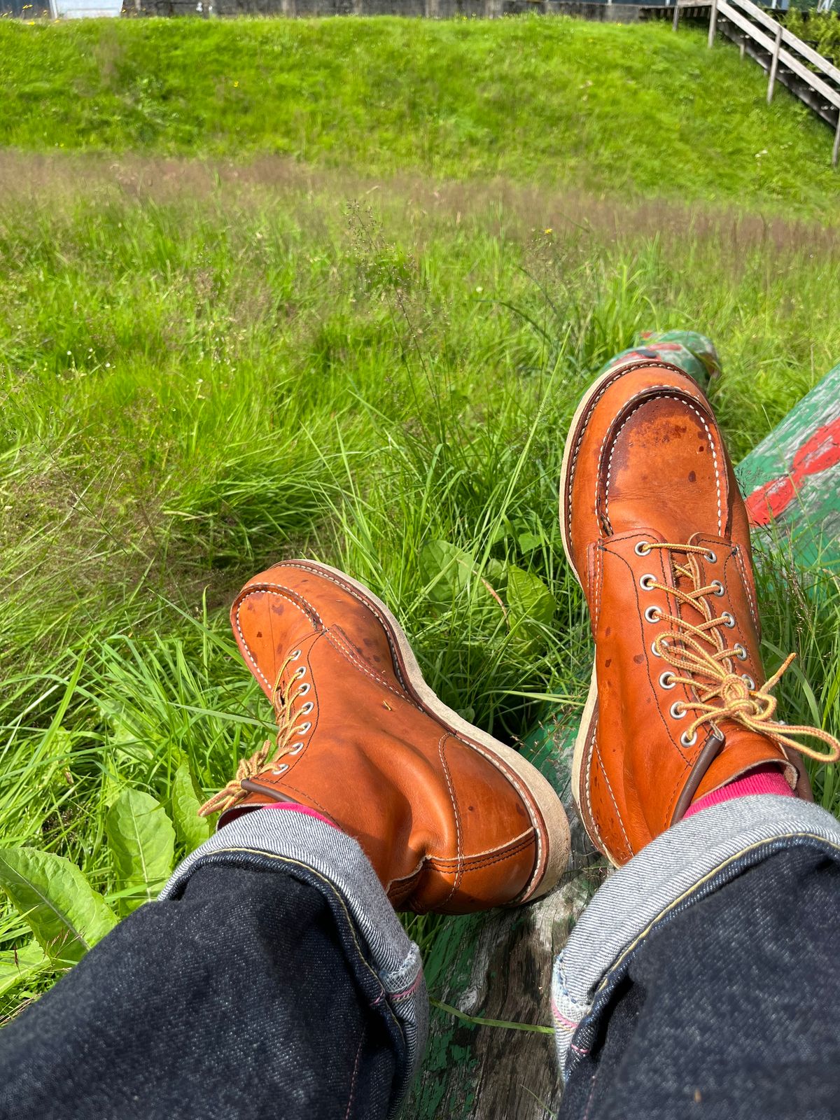 Photo by mr_spud on July 18, 2024 of the Red Wing 6-Inch Classic Moc in S.B. Foot Oro Legacy.