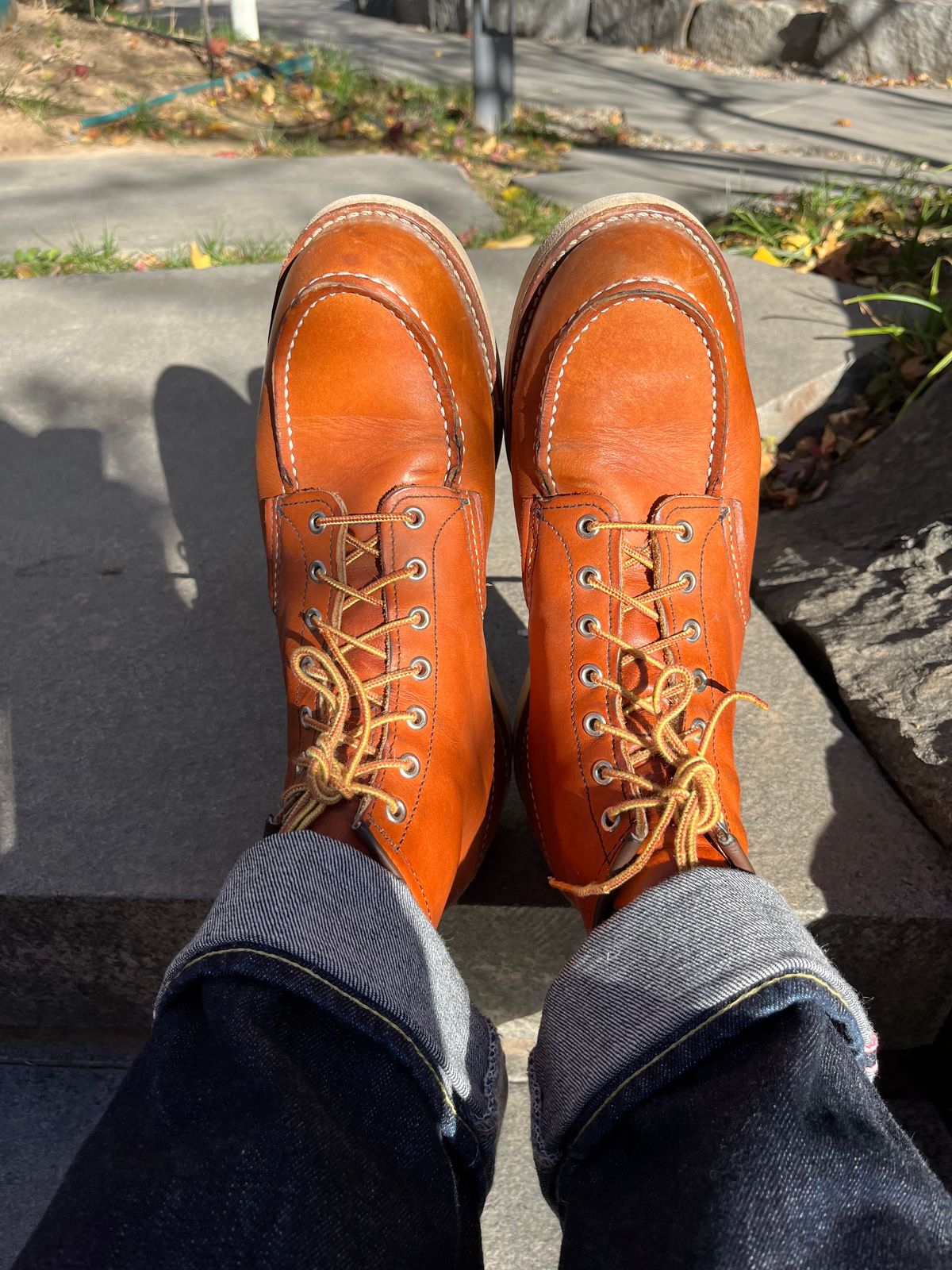 Photo by mr_spud on November 21, 2024 of the Red Wing 6-Inch Classic Moc in S.B. Foot Oro Legacy.