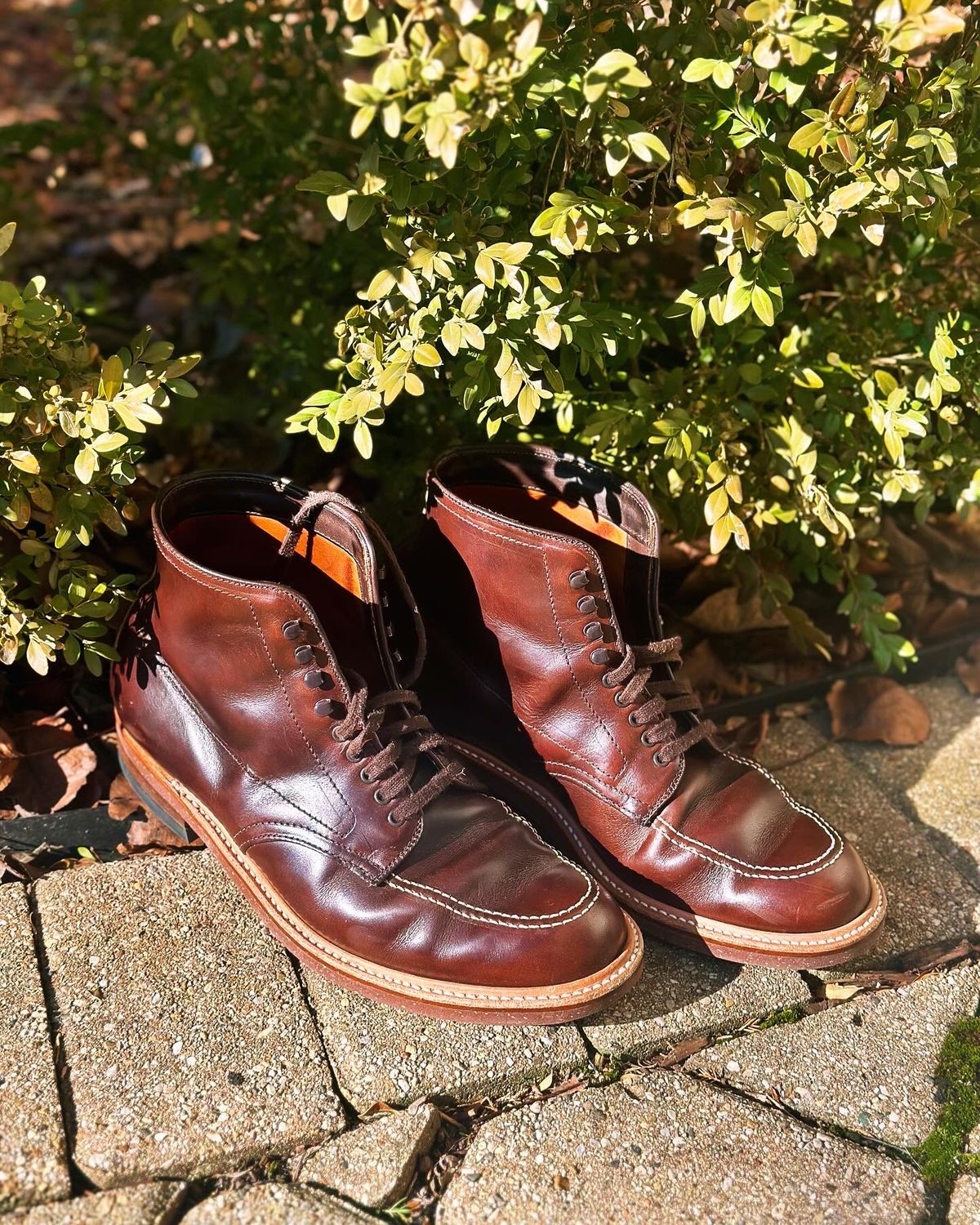 Photo by Wes on February 3, 2024 of the Alden Indy Boot in Horween Brown Chromexcel.