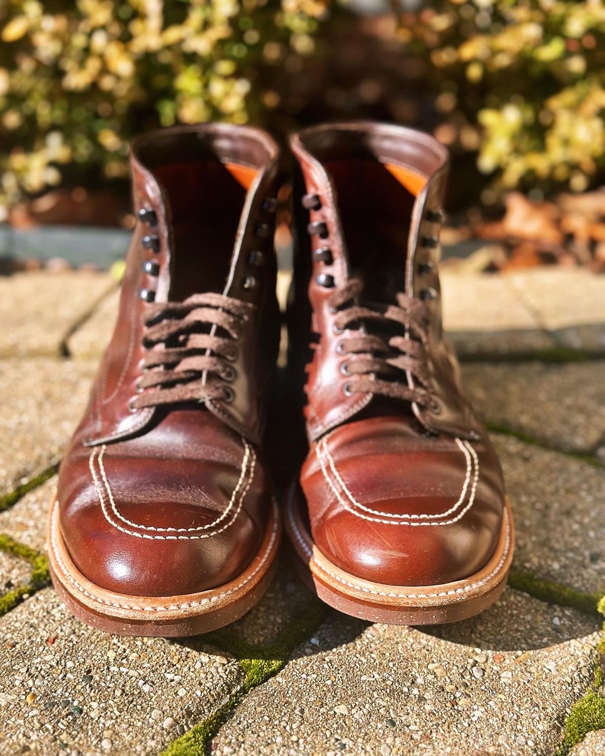 Photo by Wes on February 3, 2024 of the Alden Indy Boot in Horween Brown Chromexcel.
