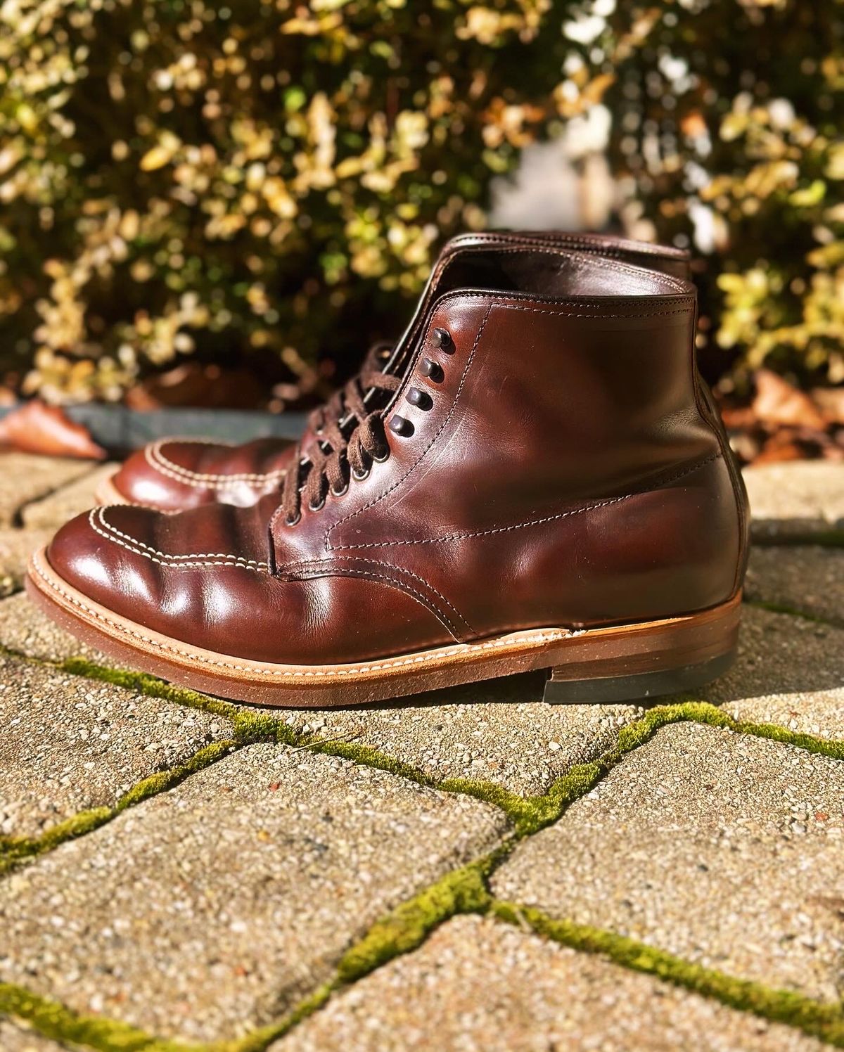 Photo by Wes on February 3, 2024 of the Alden Indy Boot in Horween Brown Chromexcel.