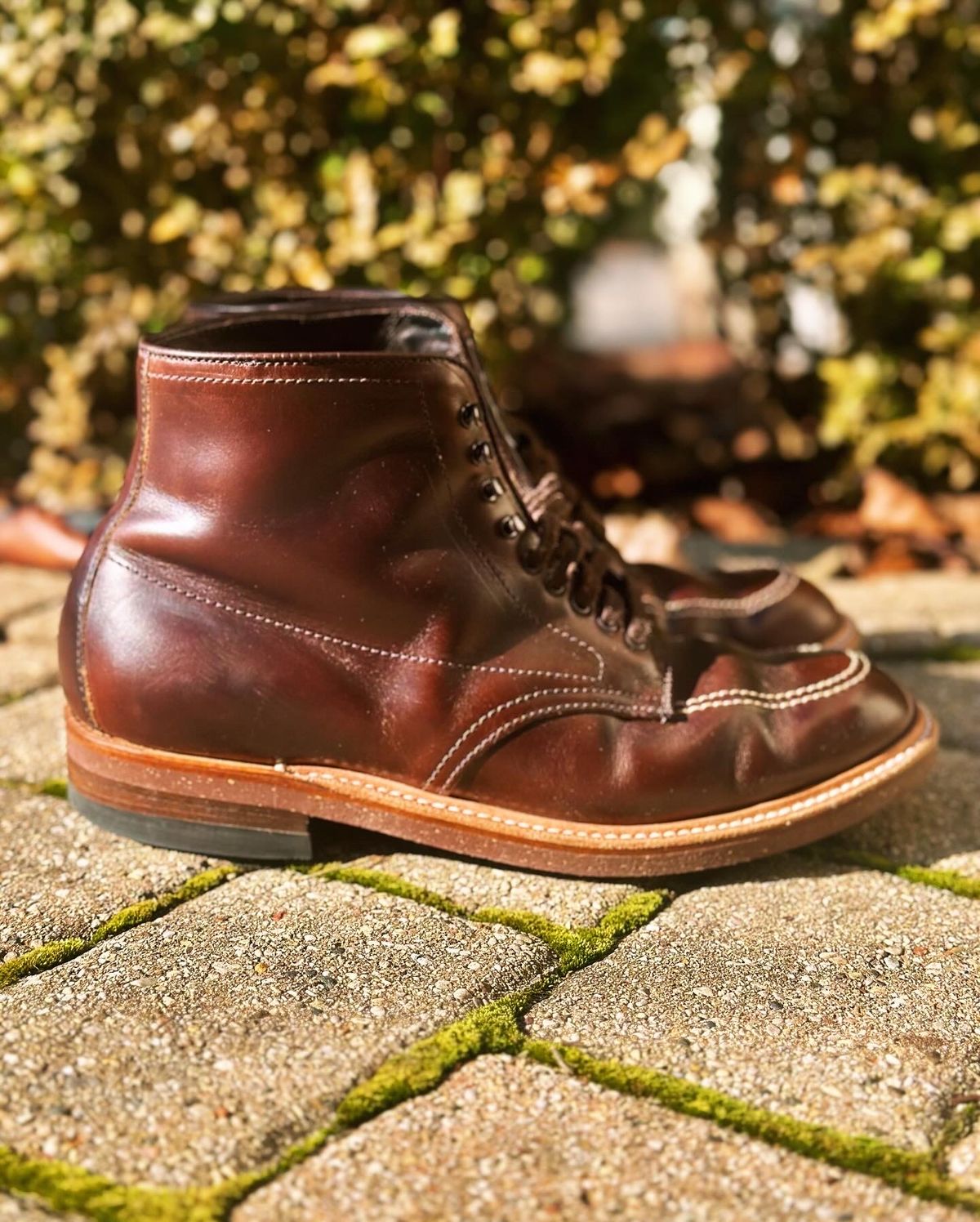 Photo by Wes on February 3, 2024 of the Alden Indy Boot in Horween Brown Chromexcel.