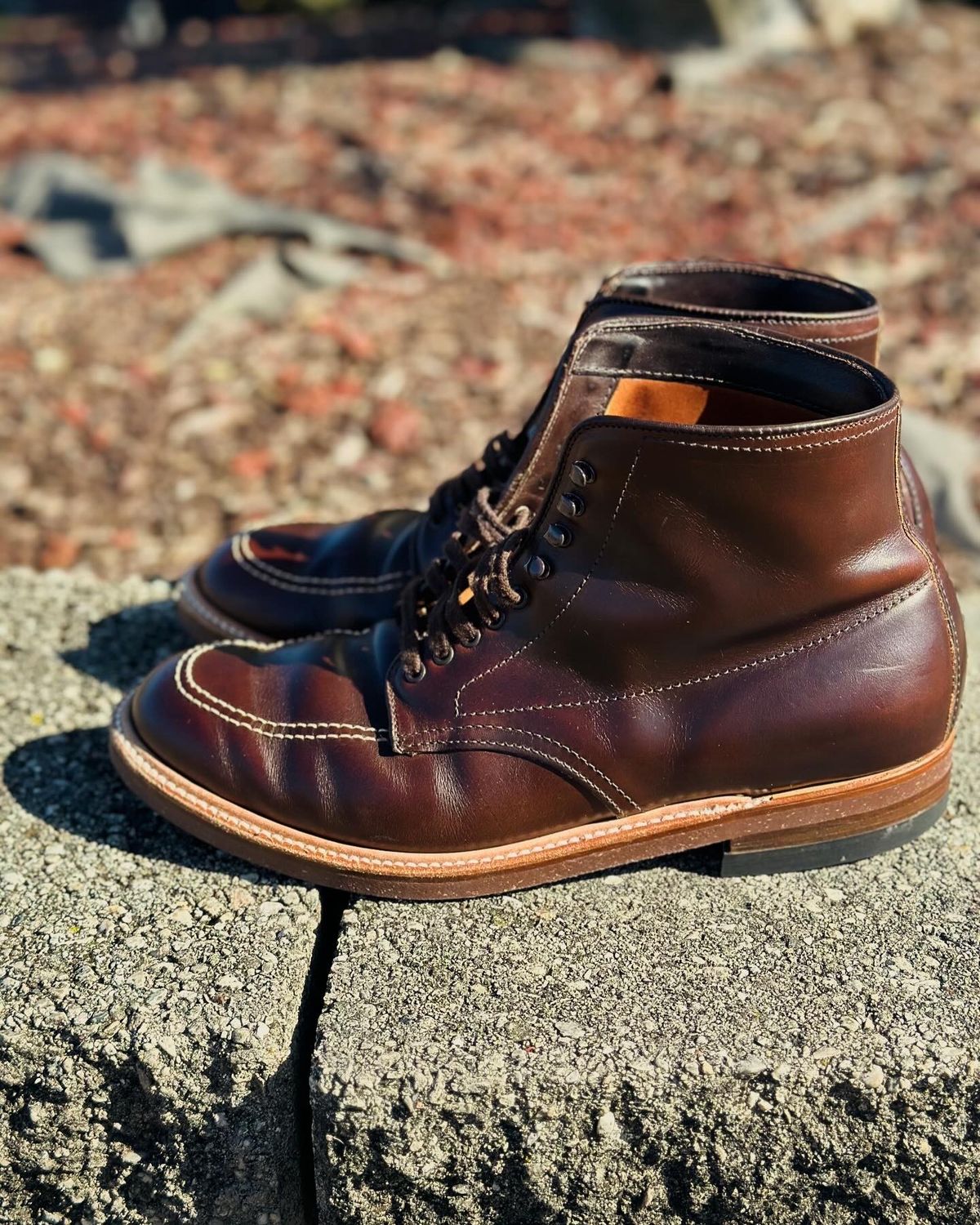 Photo by Wes on April 5, 2024 of the Alden Indy Boot in Horween Brown Chromexcel.