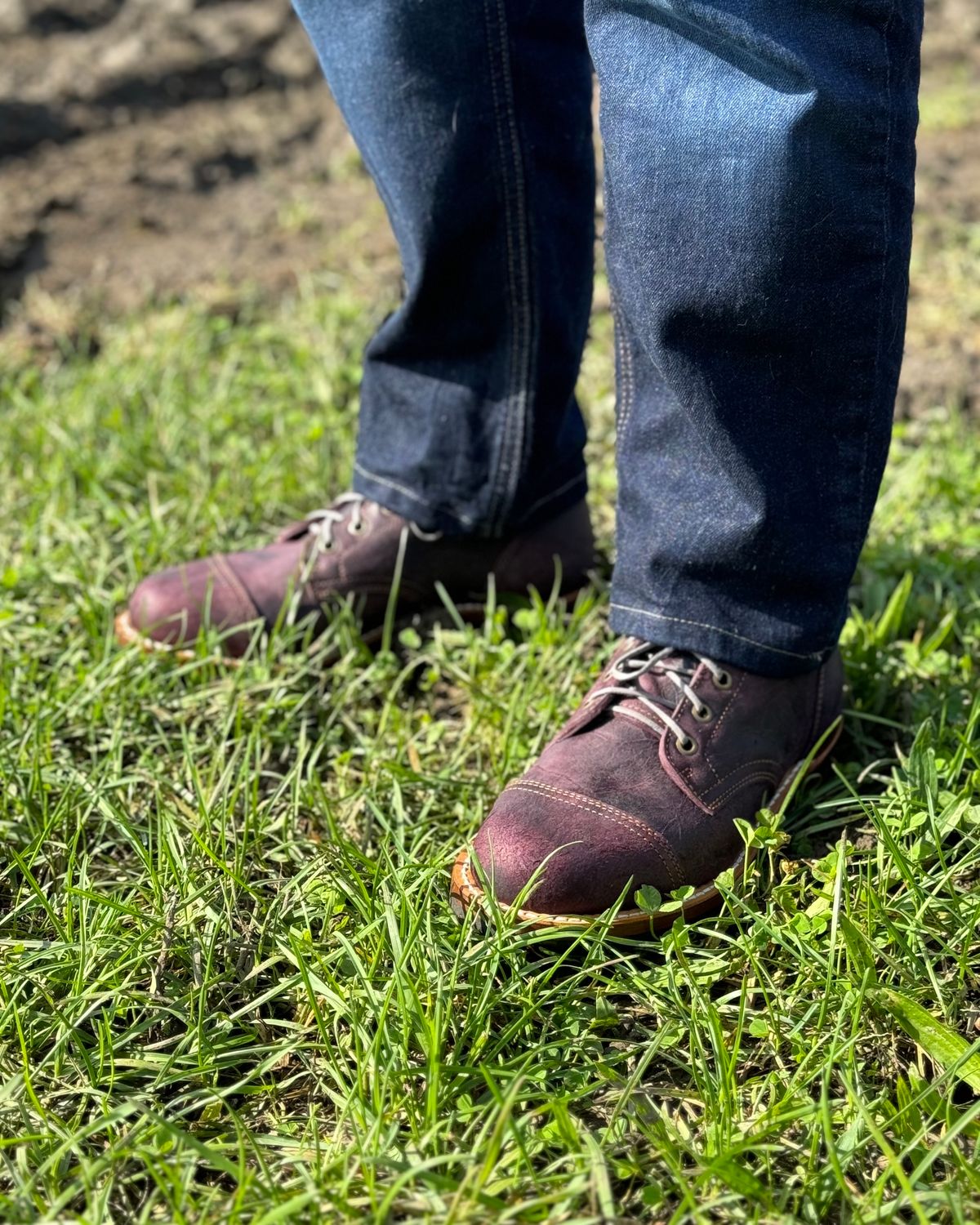 Photo by thewampus on October 1, 2023 of the Truman Service Boot in C.F. Stead Black Burgundy Rambler.