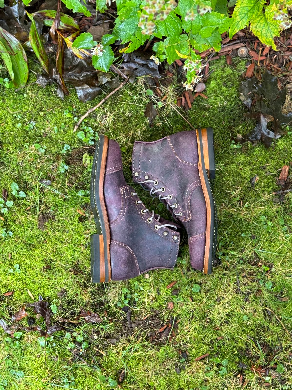 Photo by thewampus on October 1, 2023 of the Truman Service Boot in C.F. Stead Black Burgundy Rambler.
