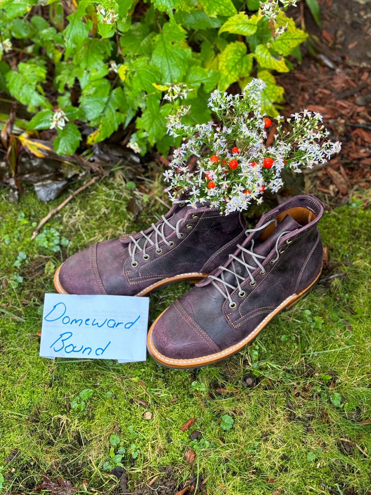 Photo by thewampus on October 1, 2023 of the Truman Service Boot in C.F. Stead Black Burgundy Rambler.
