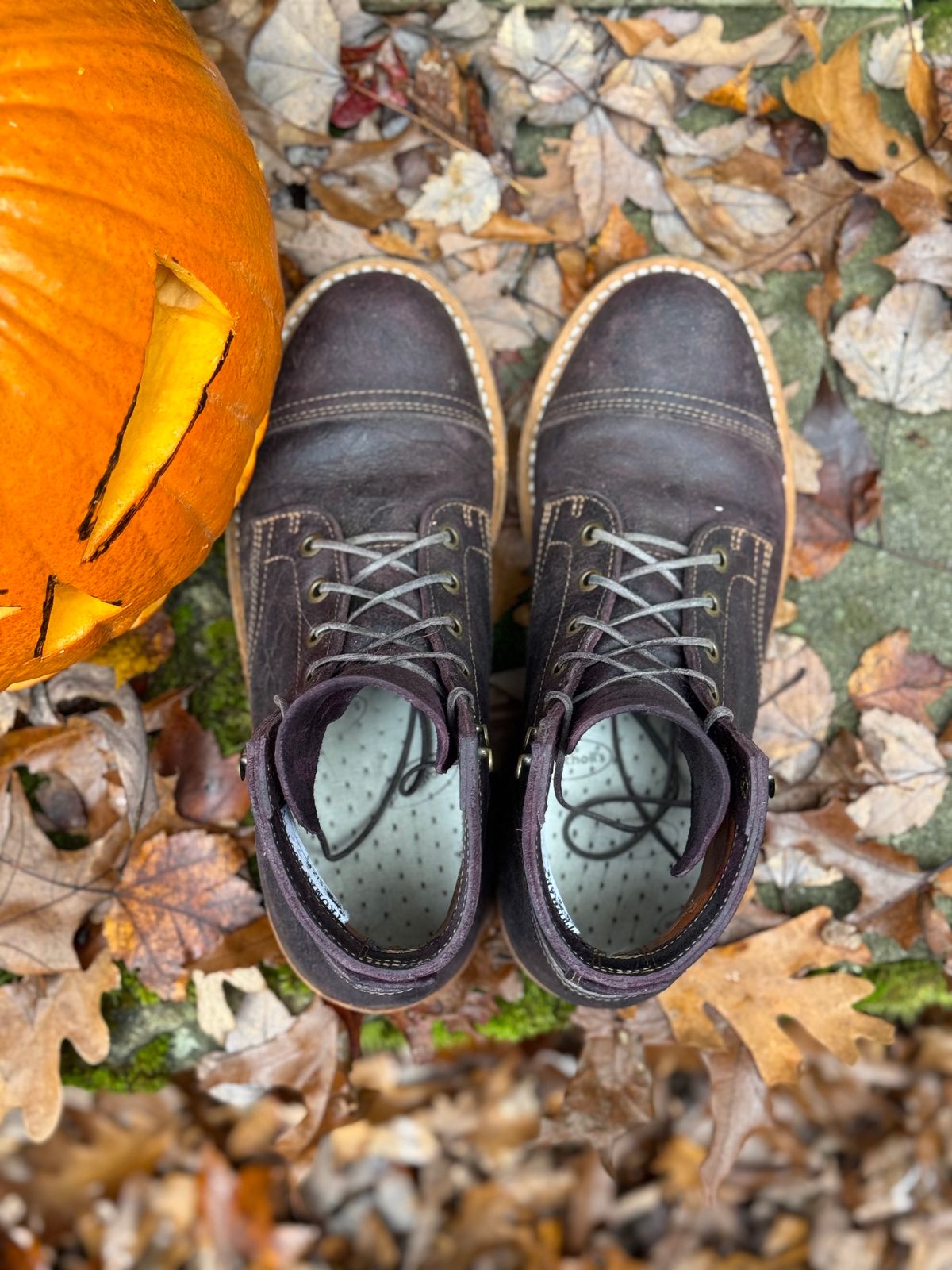 Photo by thewampus on November 1, 2023 of the Truman Service Boot in C.F. Stead Black Burgundy Rambler.