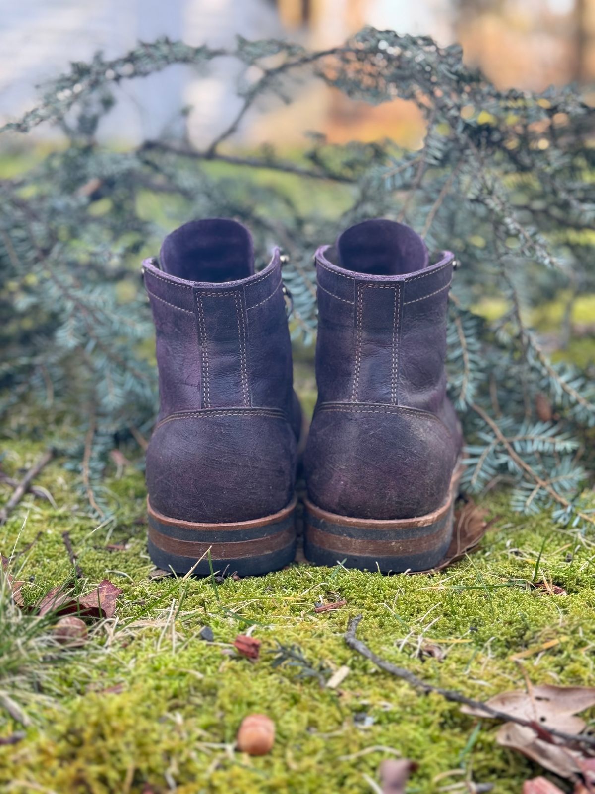 Photo by thewampus on January 1, 2024 of the Truman Service Boot in C.F. Stead Black Burgundy Rambler.