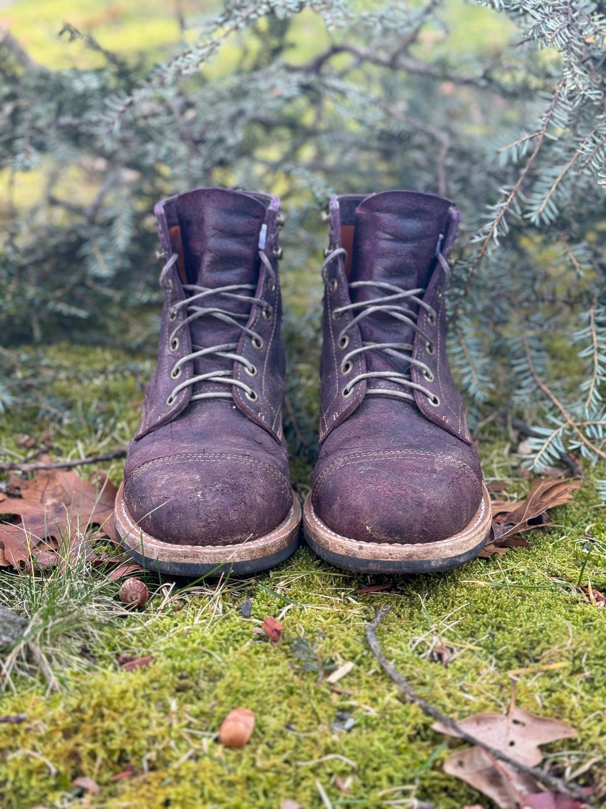 Photo by thewampus on January 1, 2024 of the Truman Service Boot in C.F. Stead Black Burgundy Rambler.
