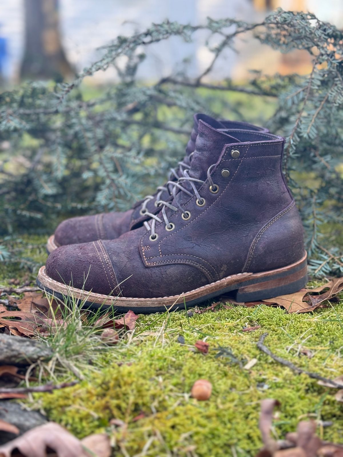 Photo by thewampus on January 1, 2024 of the Truman Service Boot in C.F. Stead Black Burgundy Rambler.
