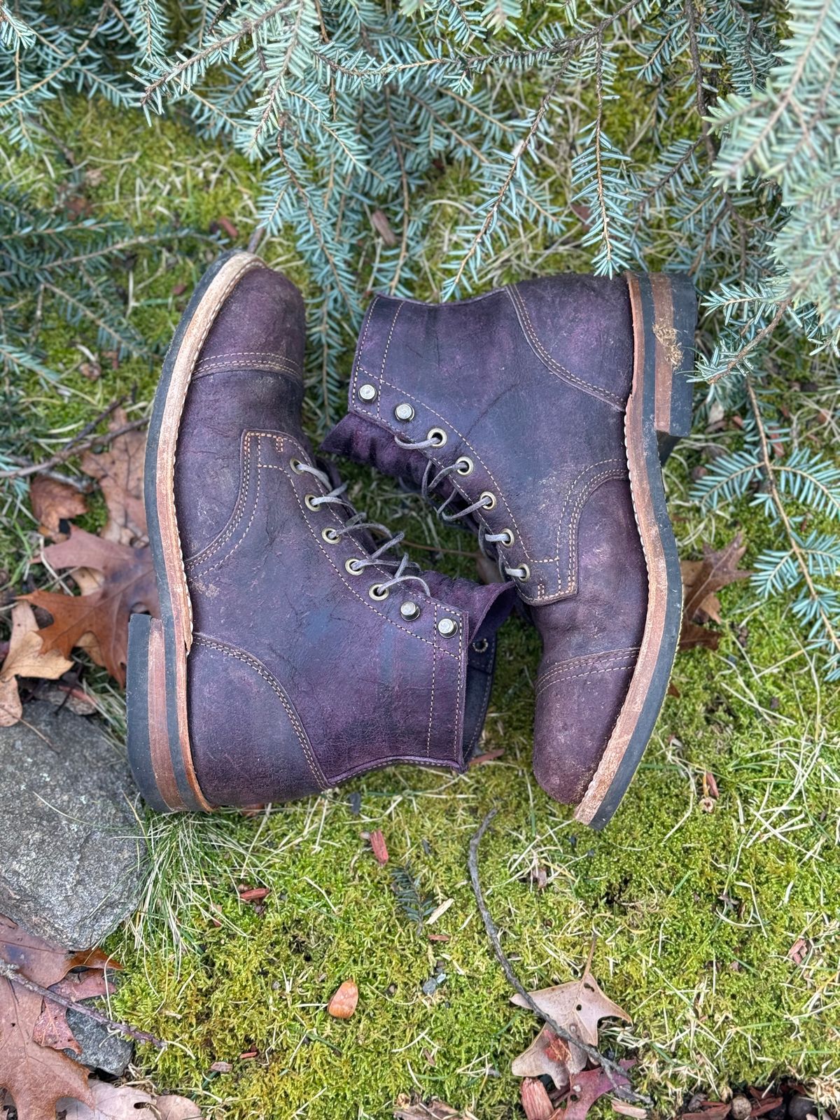 Photo by thewampus on January 1, 2024 of the Truman Service Boot in C.F. Stead Black Burgundy Rambler.