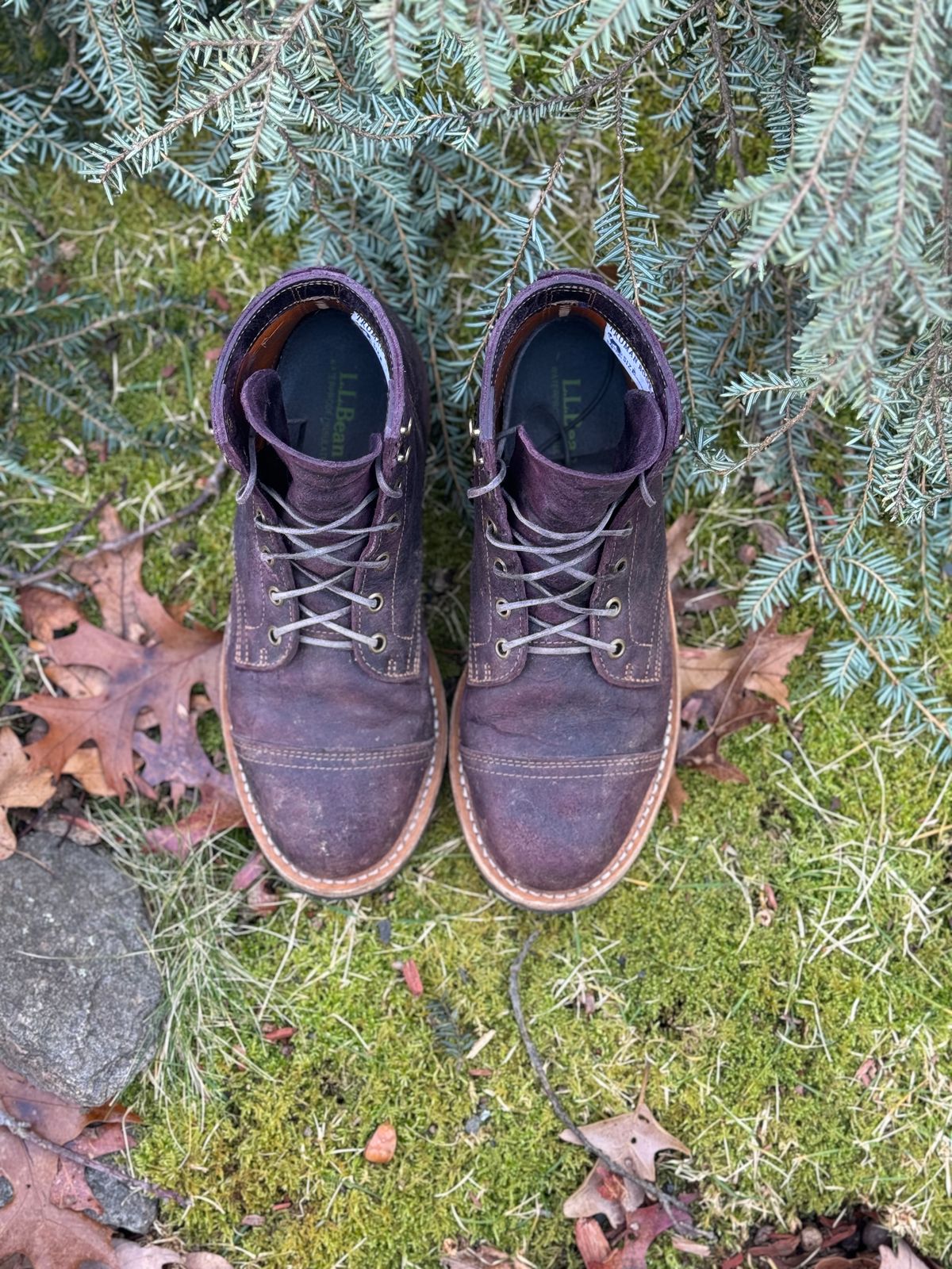 Photo by thewampus on January 1, 2024 of the Truman Service Boot in C.F. Stead Black Burgundy Rambler.