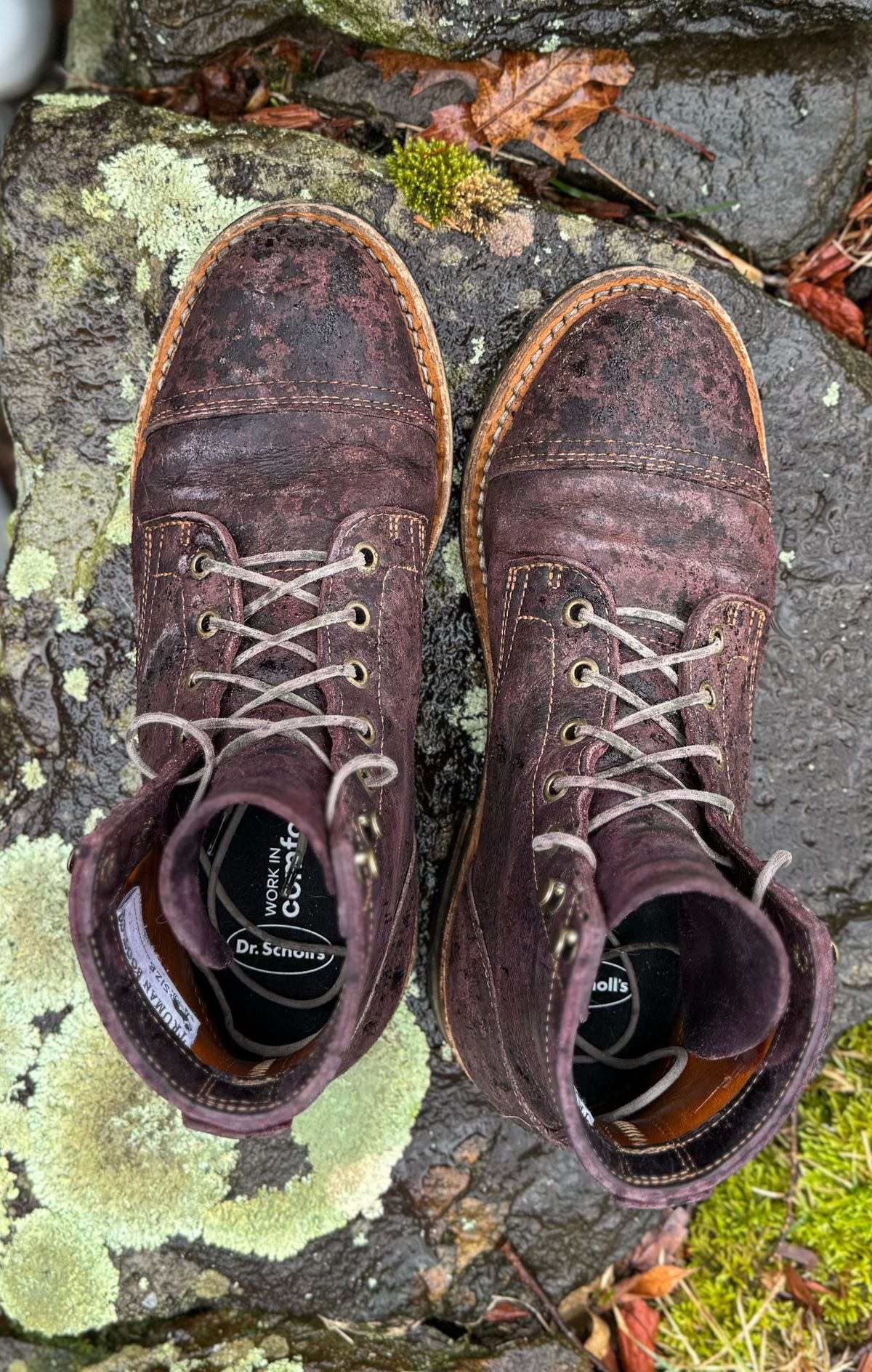 Photo by thewampus on March 2, 2024 of the Truman Service Boot in C.F. Stead Black Burgundy Rambler.