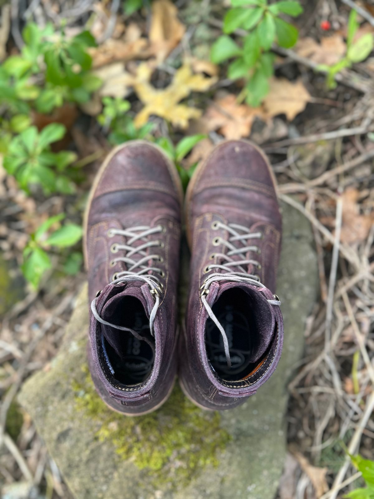 Photo by thewampus on April 1, 2024 of the Truman Service Boot in C.F. Stead Black Burgundy Rambler.