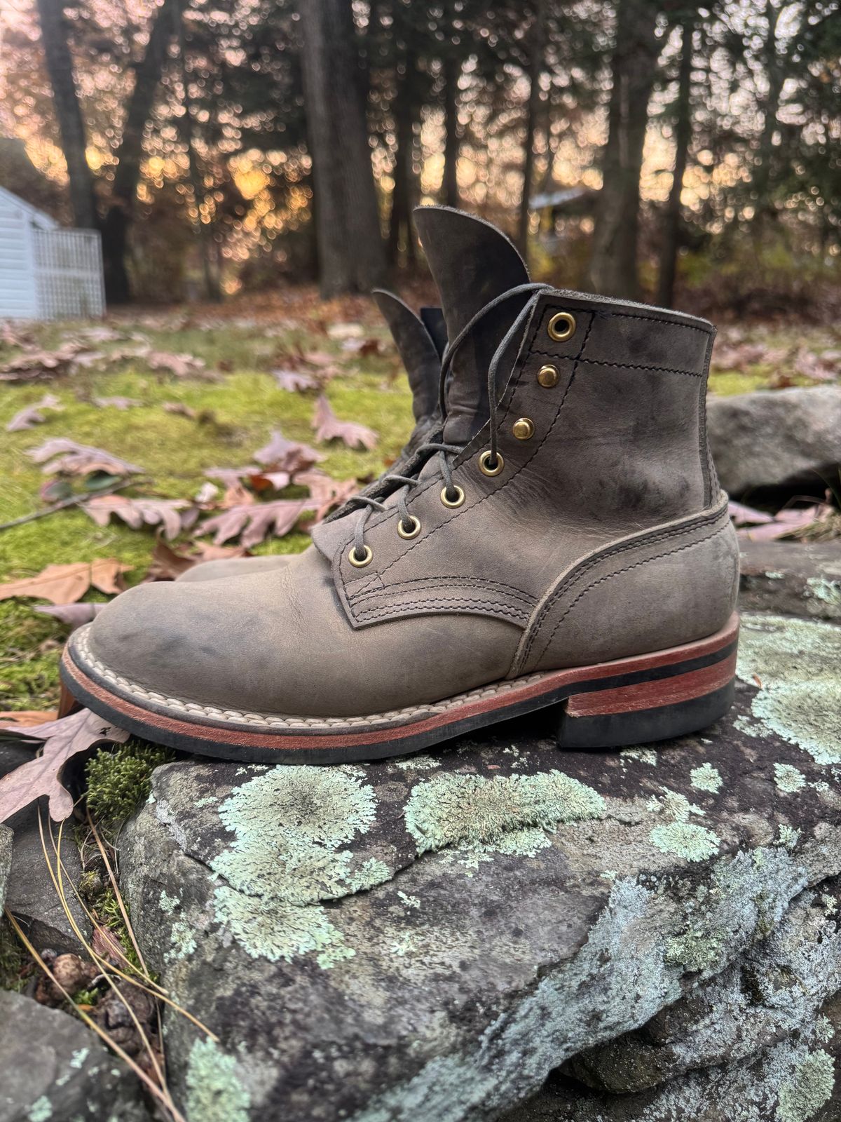 Photo by thewampus on November 1, 2024 of the Nicks MTO in Horween Steel Predator.