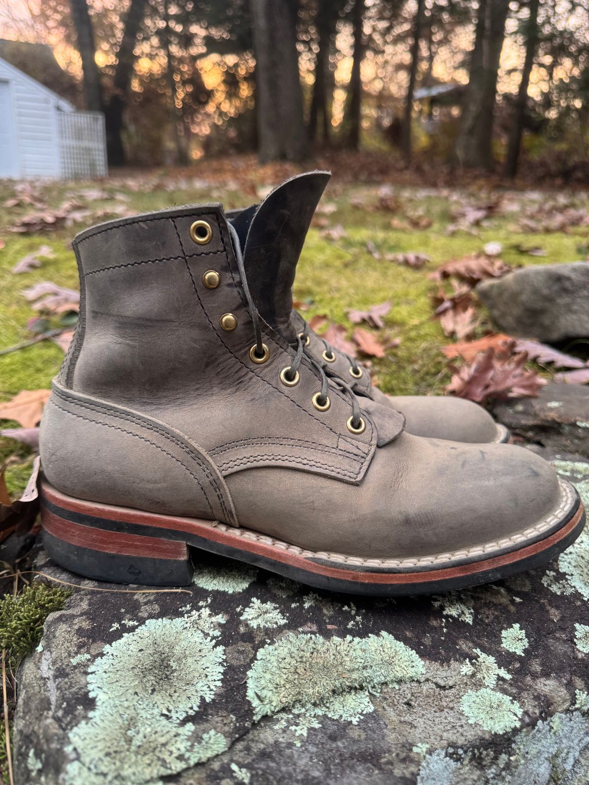 Photo by thewampus on November 1, 2024 of the Nicks MTO in Horween Steel Predator.