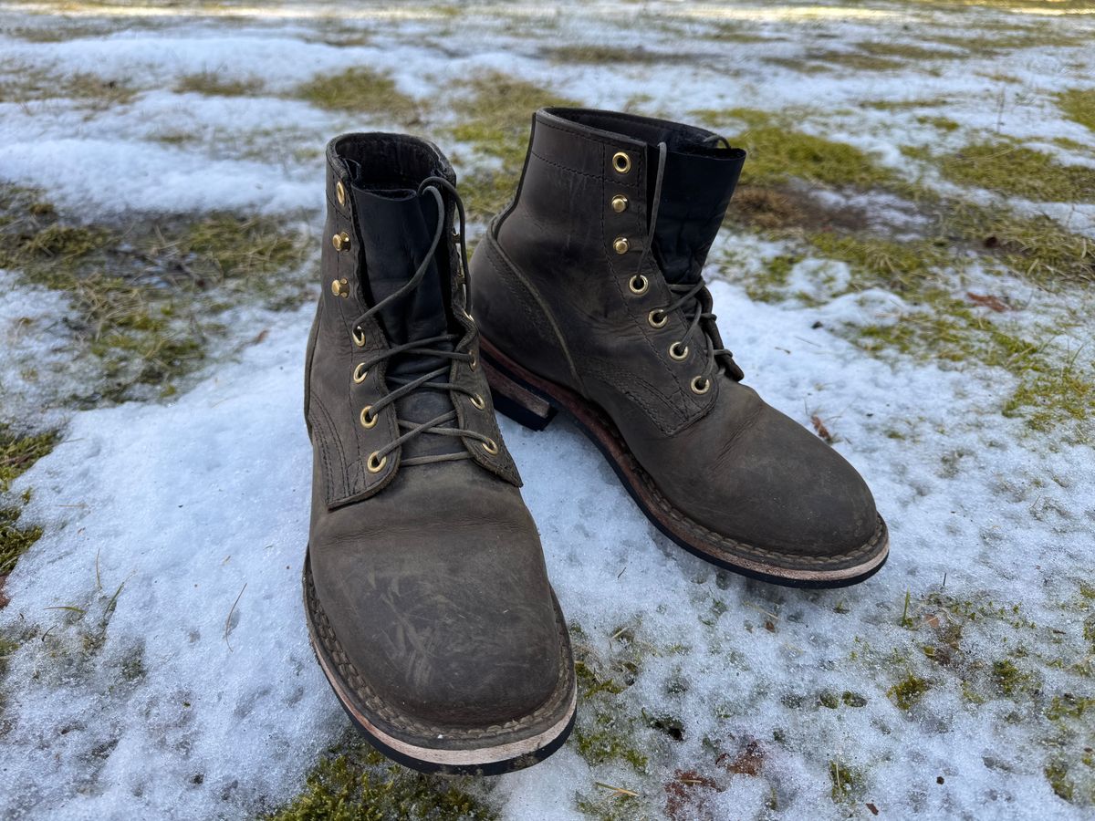 Photo by thewampus on February 1, 2025 of the Nicks MTO in Horween Steel Predator.