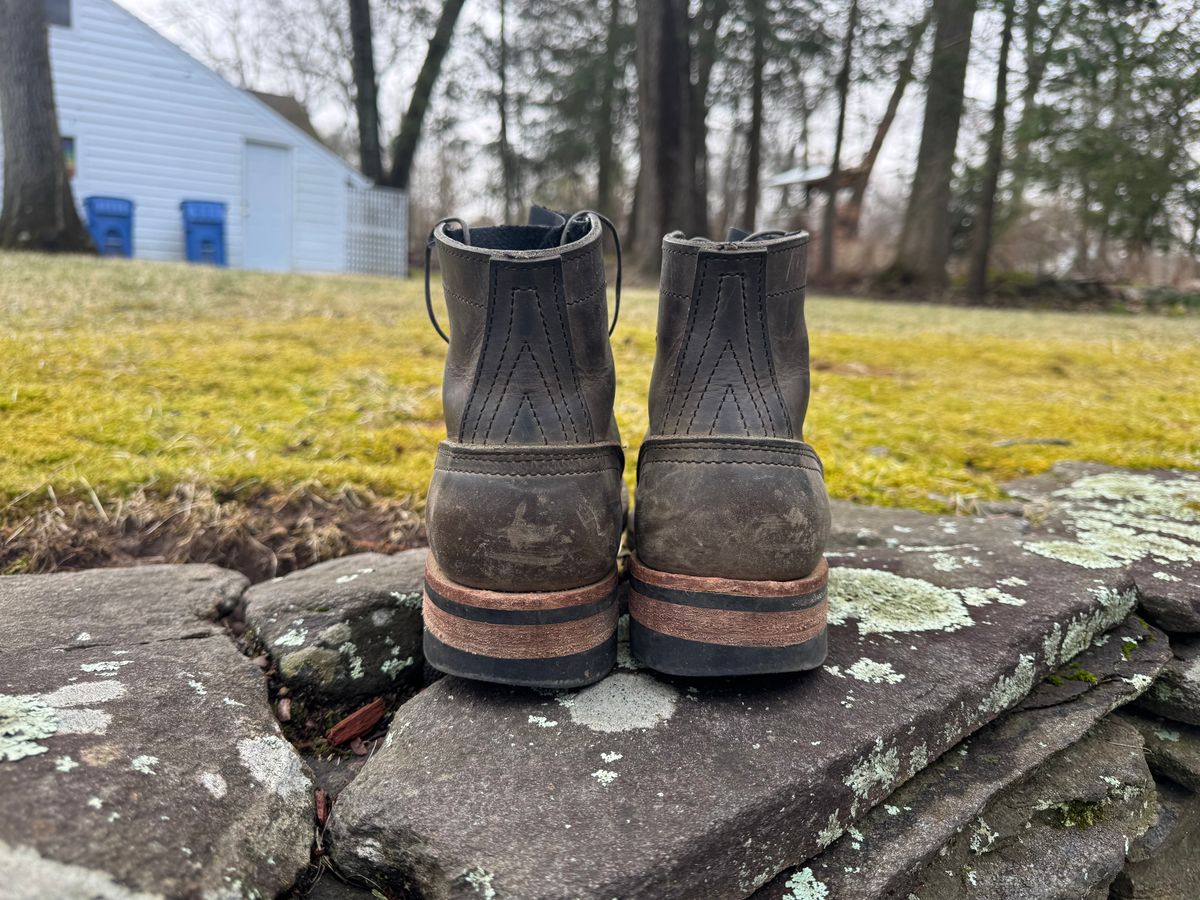 Photo by thewampus on April 1, 2025 of the Nicks MTO in Horween Steel Predator.