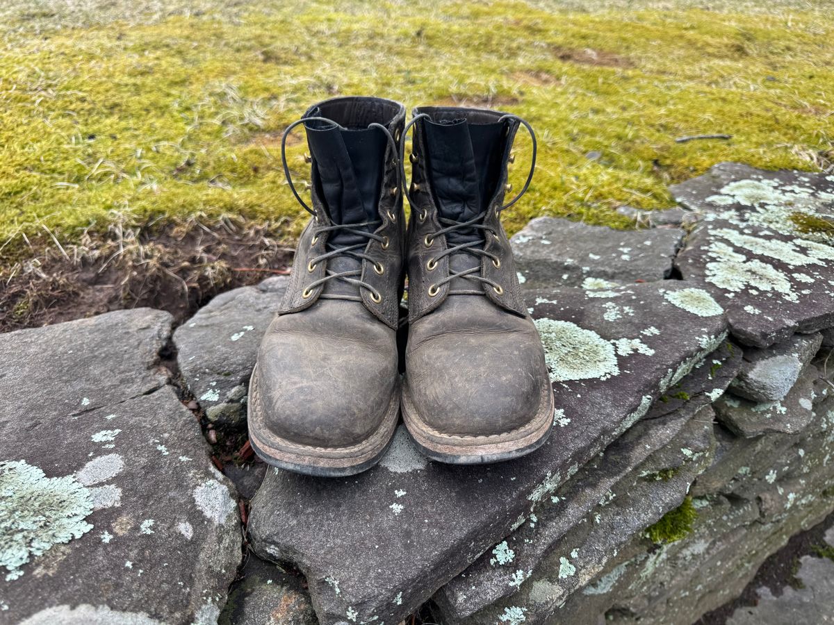 Photo by thewampus on April 1, 2025 of the Nicks MTO in Horween Steel Predator.