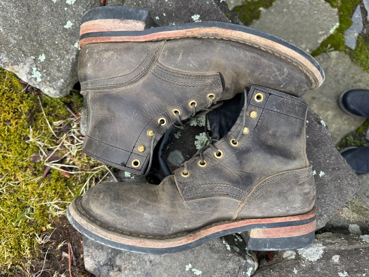 Photo by thewampus on April 1, 2025 of the Nicks MTO in Horween Steel Predator.