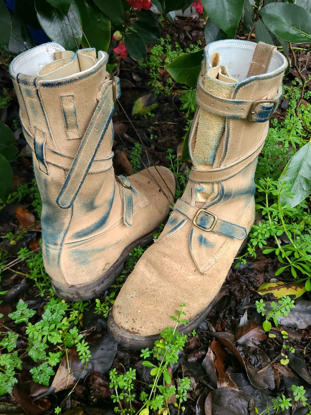 Photo by TheSlickBastard on February 1, 2024 of the Dehner Tank Boot (Strap) in Tan Calfskin.