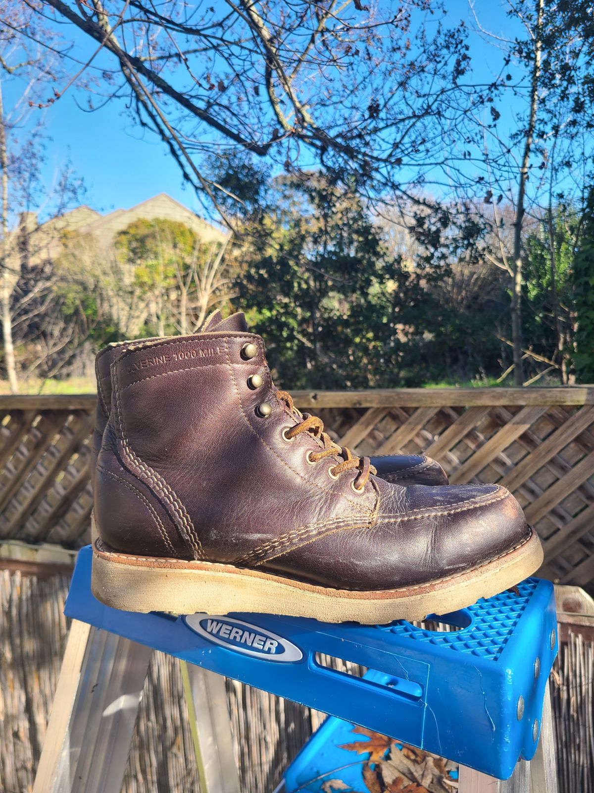 Photo by TheSlickBastard on January 1, 2023 of the Wolverine 1000 Mile Moc-Toe Boot in Horween Arabica Lux Calfskin.