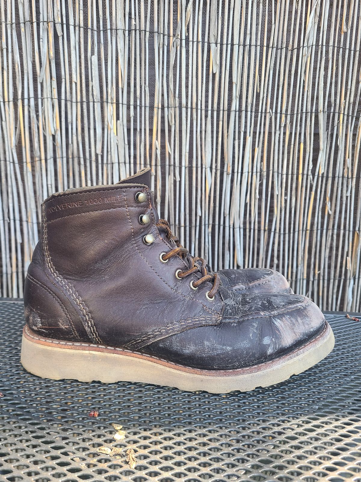 Photo by TheSlickBastard on March 1, 2023 of the Wolverine 1000 Mile Moc-Toe Boot in Horween Arabica Lux Calfskin.