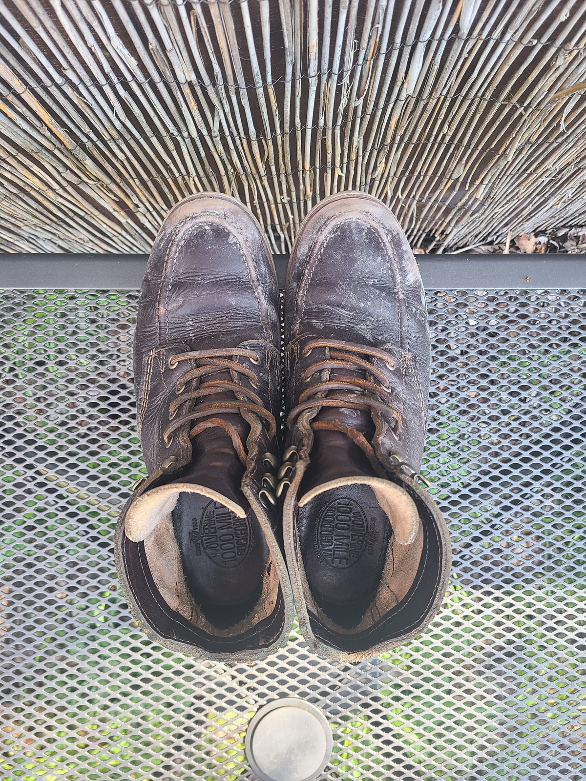 Photo by TheSlickBastard on March 1, 2023 of the Wolverine 1000 Mile Moc-Toe Boot in Horween Arabica Lux Calfskin.