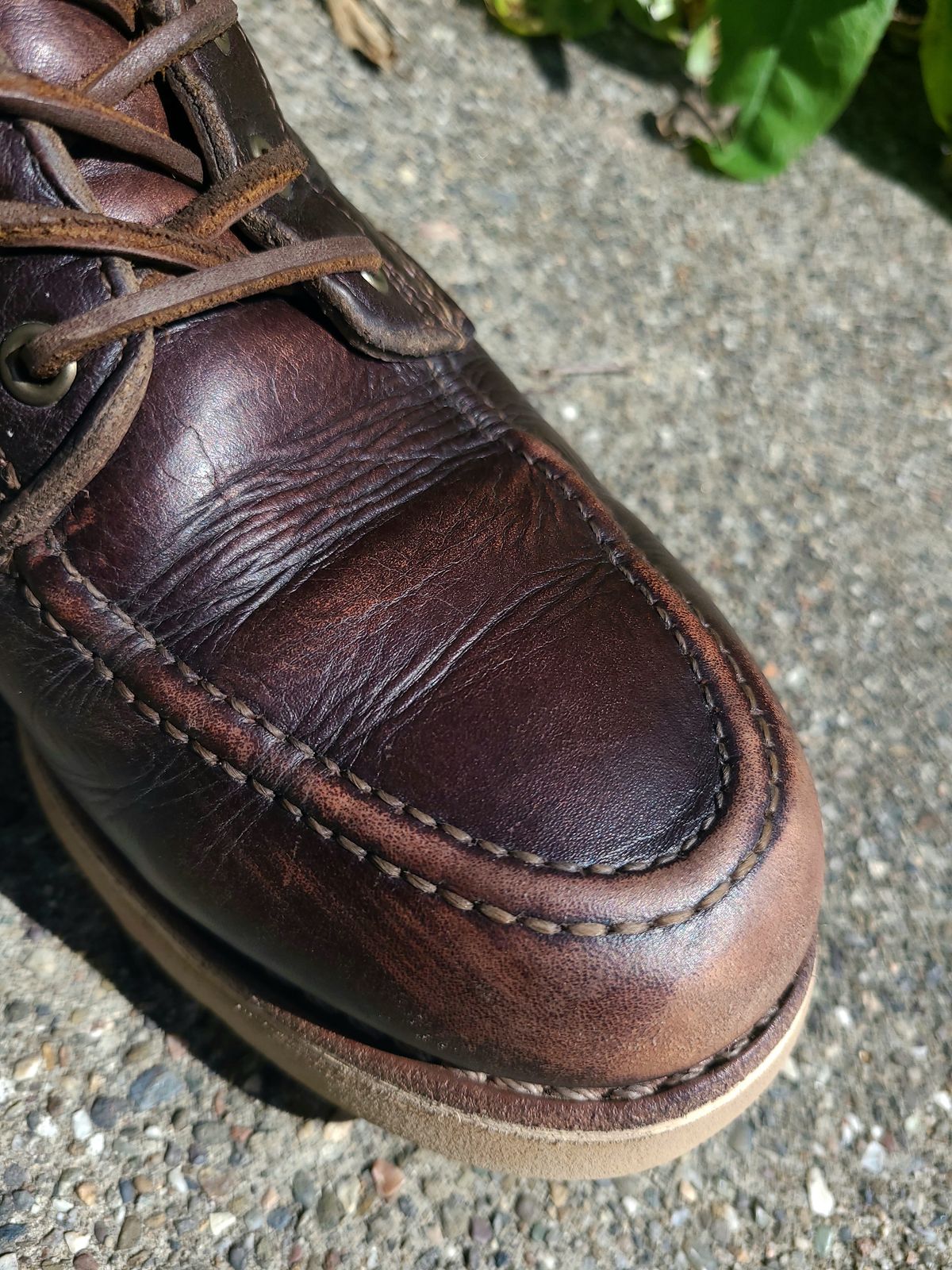 Photo by TheSlickBastard on April 3, 2023 of the Wolverine 1000 Mile Moc-Toe Boot in Horween Arabica Lux Calfskin.