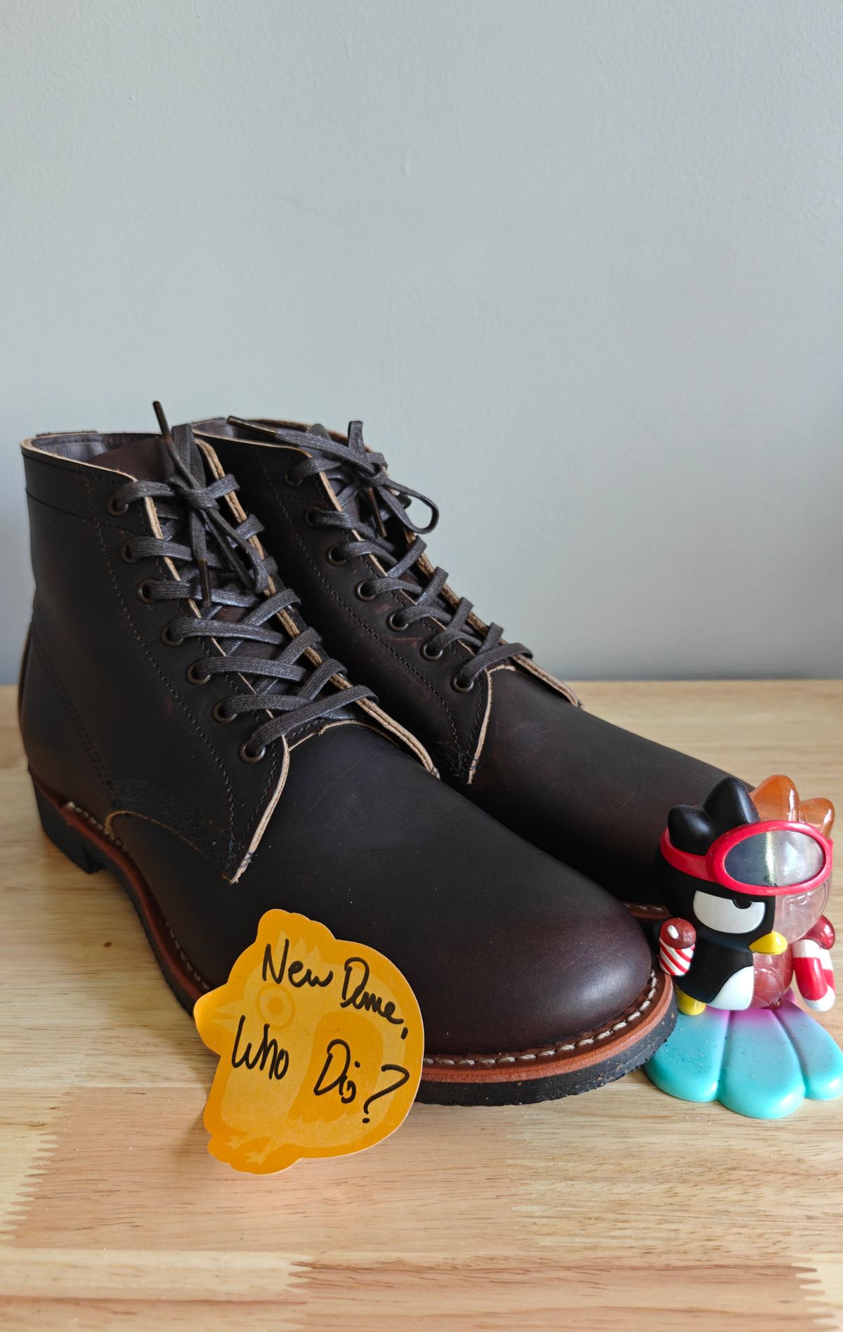 Photo by litespeedd on October 1, 2025 of the Red Wing 8061 Merchant in S.B. Foot Ebony Harness.