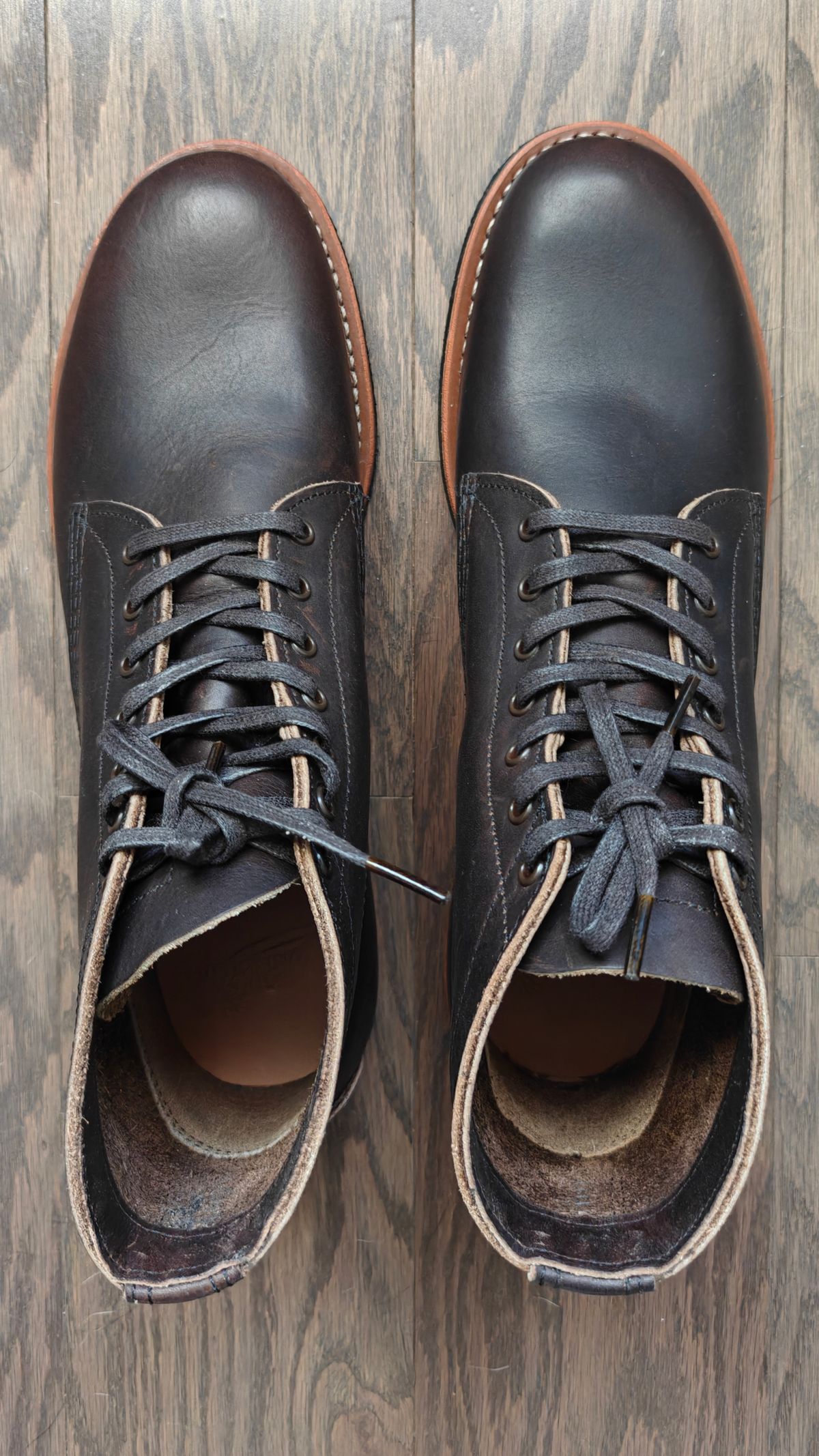 Photo by litespeedd on October 1, 2025 of the Red Wing 8061 Merchant in S.B. Foot Ebony Harness.