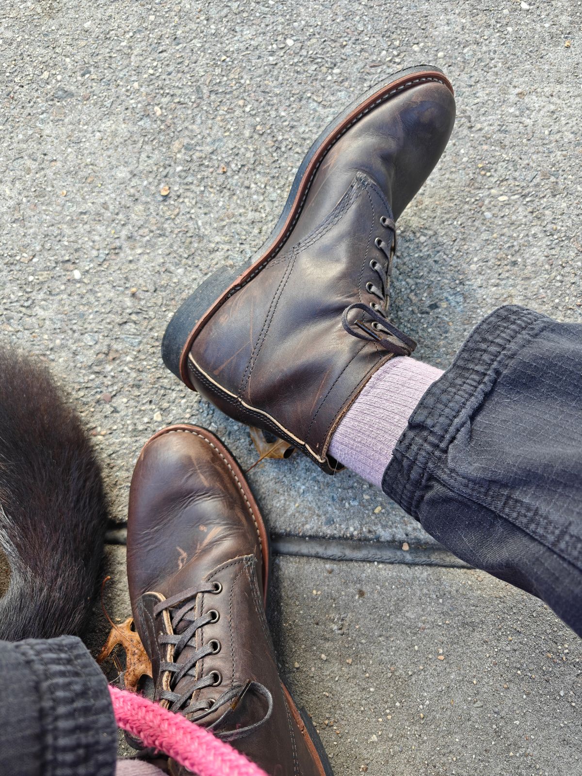 Photo by litespeedd on October 24, 2025 of the Red Wing 8061 Merchant in S.B. Foot Ebony Harness.