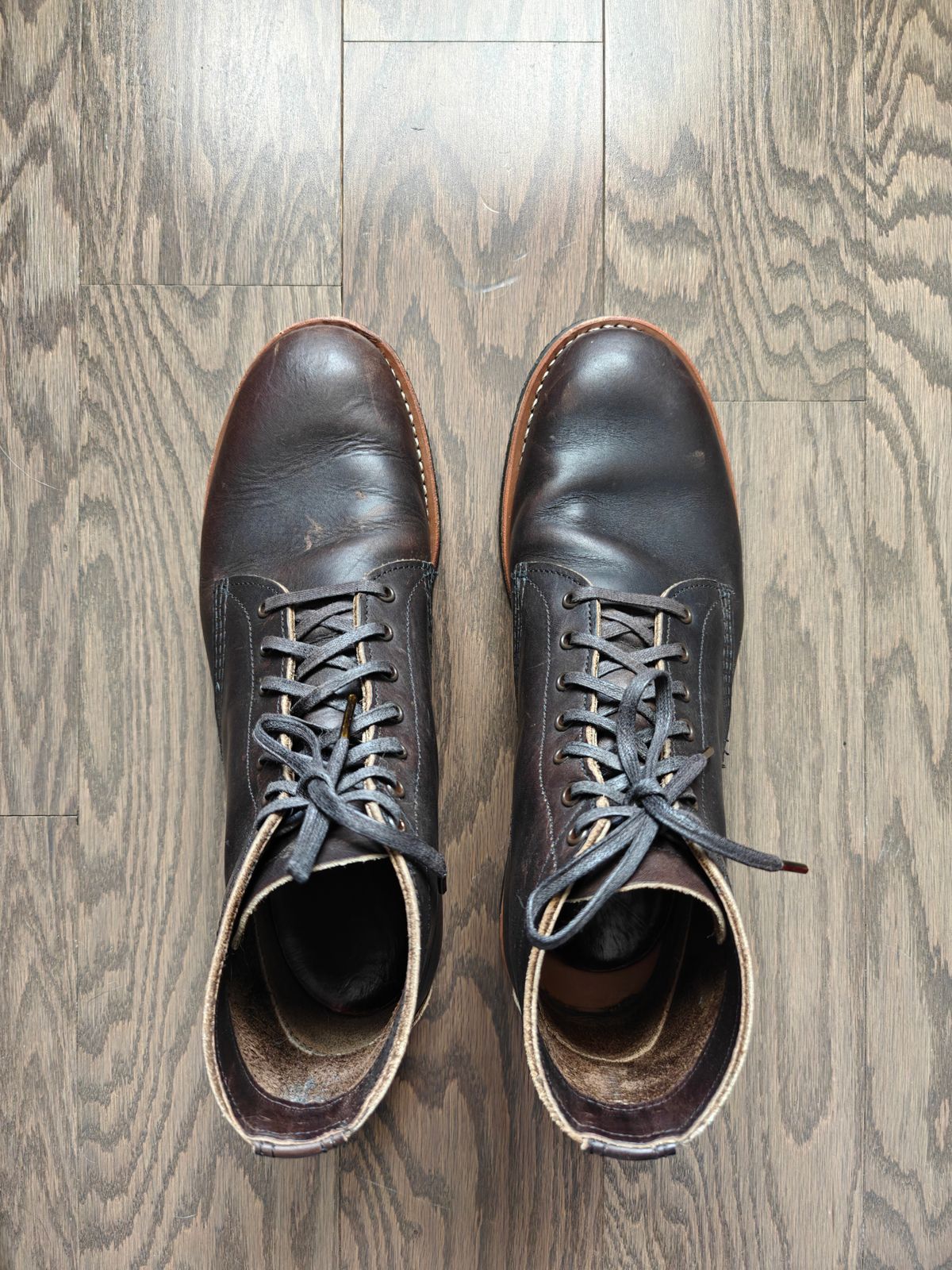 Photo by litespeedd on November 1, 2025 of the Red Wing 8061 Merchant in S.B. Foot Ebony Harness.