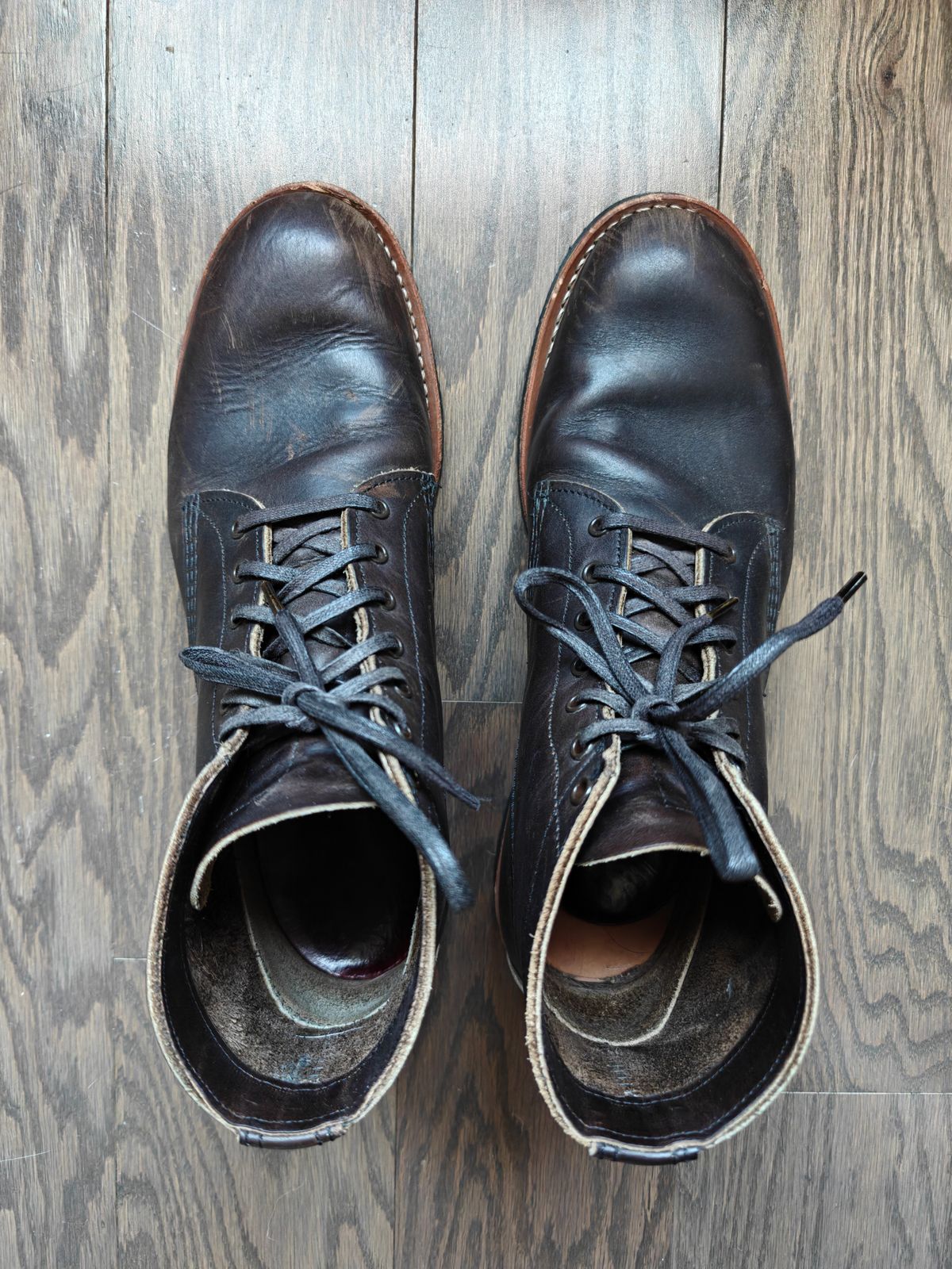 Photo by litespeedd on December 1, 2025 of the Red Wing 8061 Merchant in S.B. Foot Ebony Harness.
