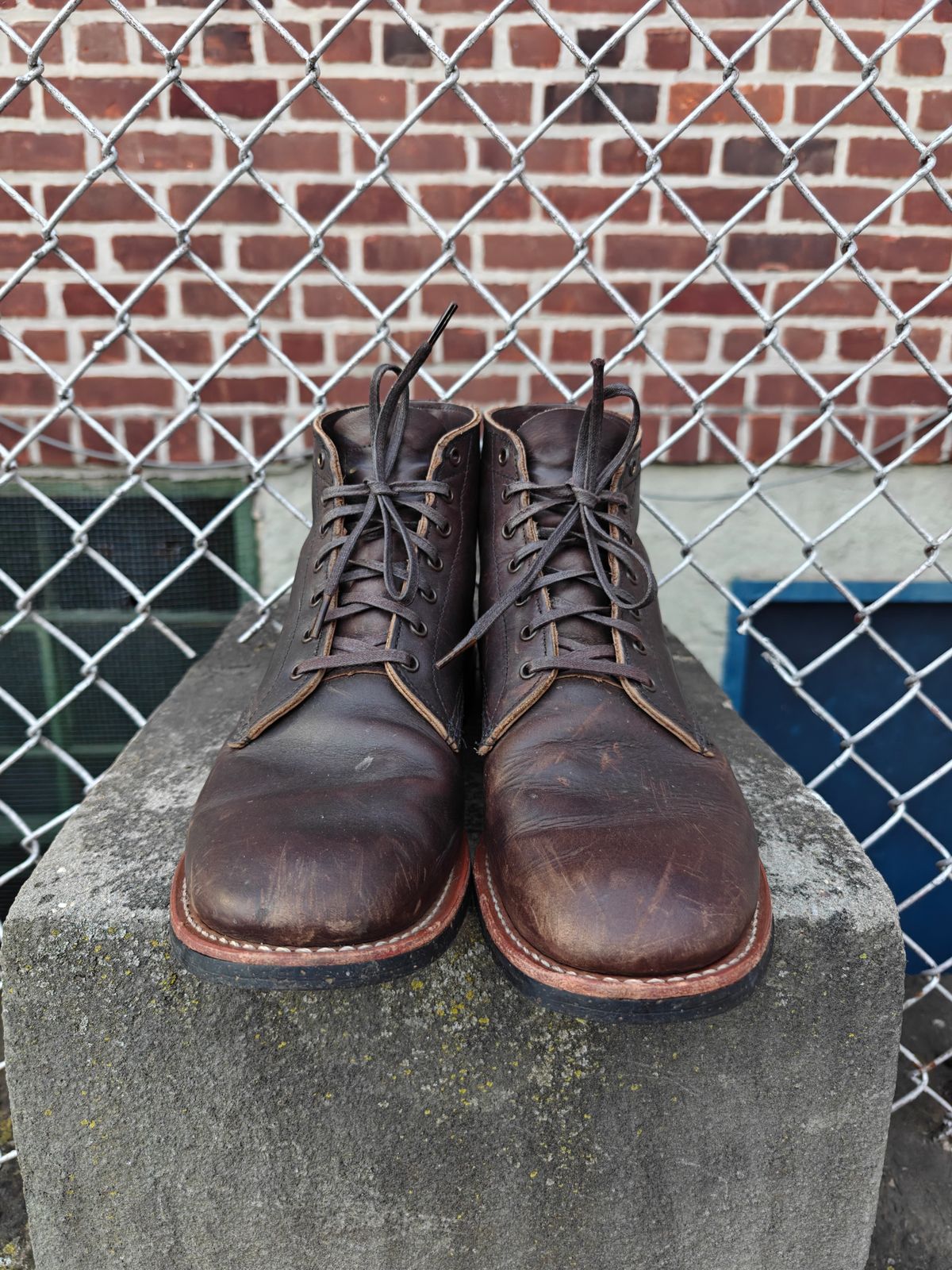 Photo by litespeedd on January 2, 2026 of the Red Wing 8061 Merchant in S.B. Foot Ebony Harness.