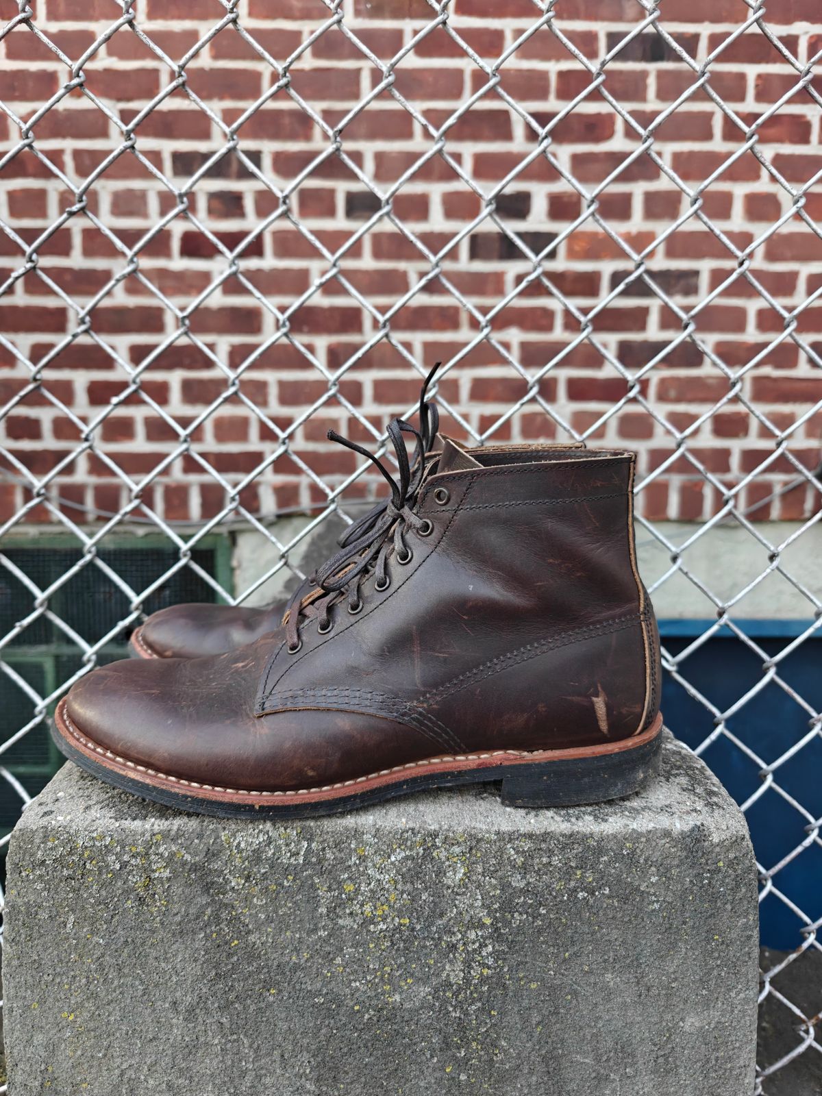 Photo by litespeedd on January 2, 2026 of the Red Wing 8061 Merchant in S.B. Foot Ebony Harness.