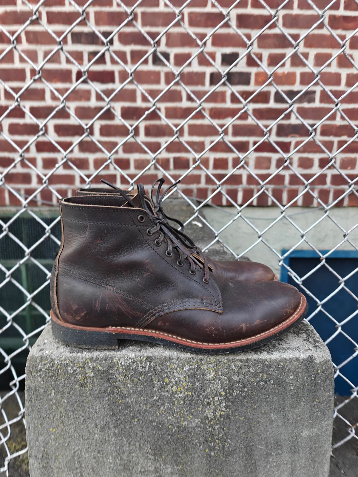 Photo by litespeedd on January 2, 2026 of the Red Wing 8061 Merchant in S.B. Foot Ebony Harness.