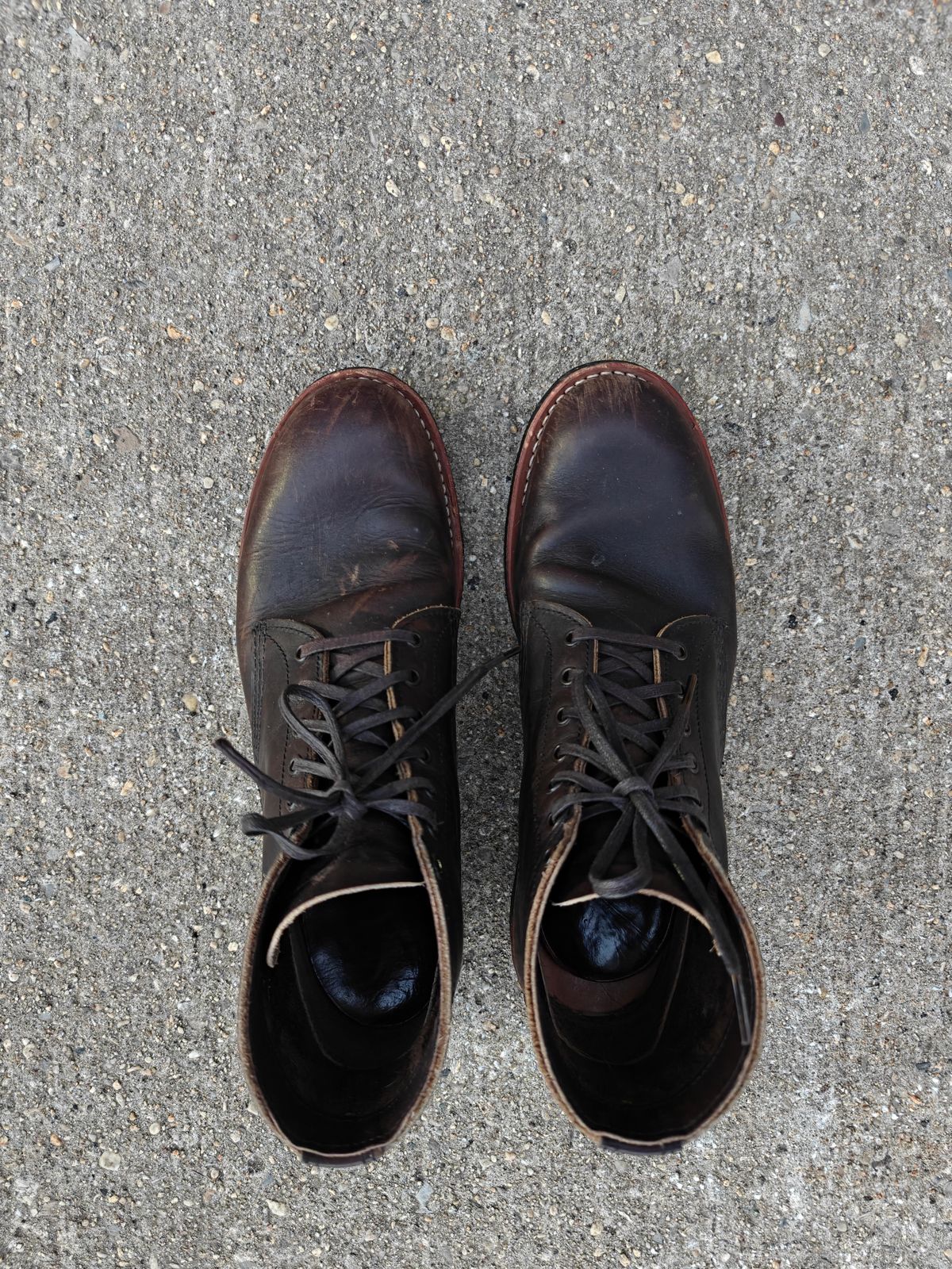 Photo by litespeedd on January 2, 2026 of the Red Wing 8061 Merchant in S.B. Foot Ebony Harness.