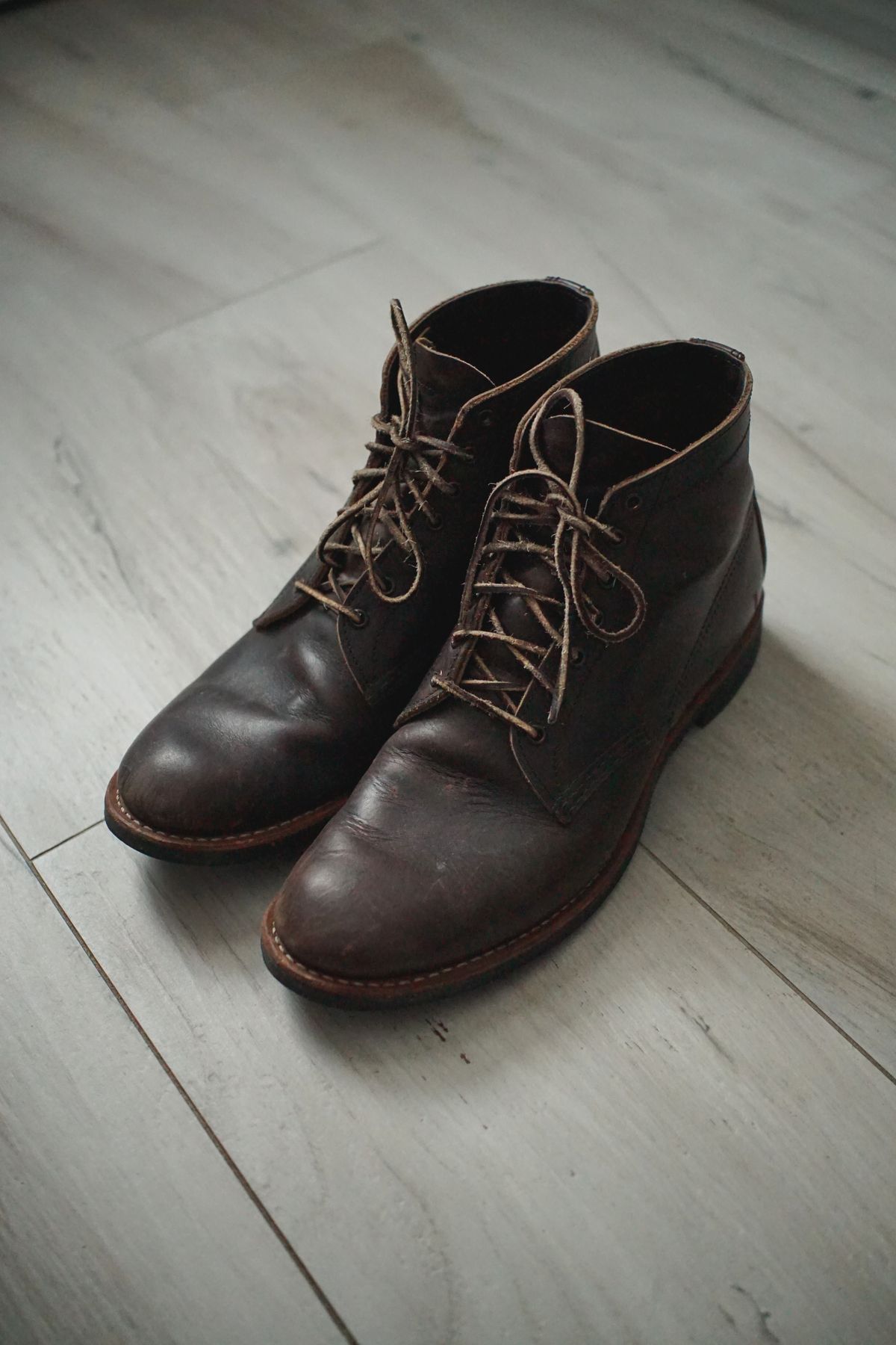 Photo by litespeedd on February 3, 2026 of the Red Wing 8061 Merchant in S.B. Foot Ebony Harness.