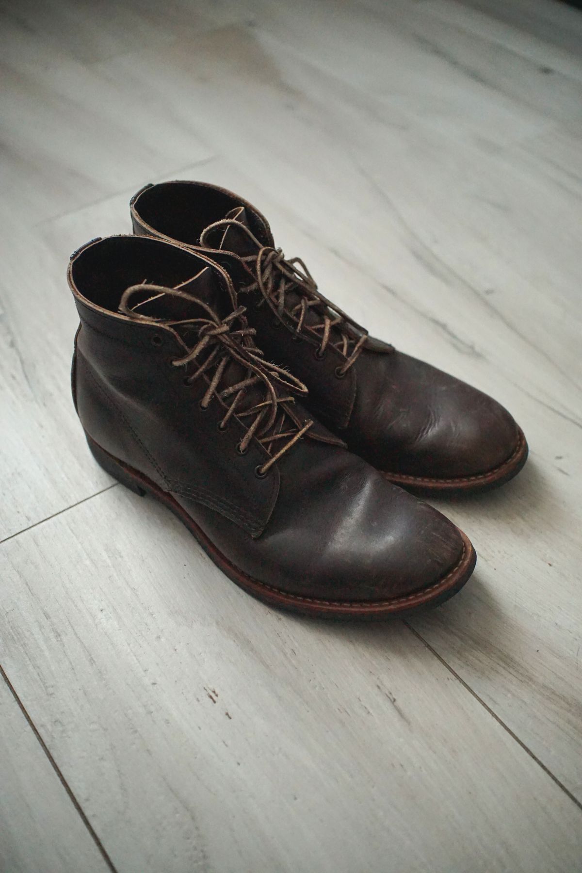 Photo by litespeedd on February 3, 2026 of the Red Wing 8061 Merchant in S.B. Foot Ebony Harness.