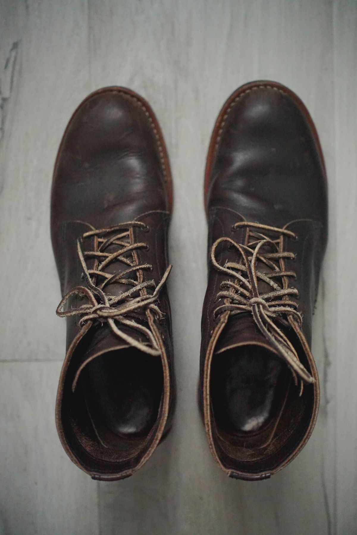 Photo by litespeedd on February 3, 2026 of the Red Wing 8061 Merchant in S.B. Foot Ebony Harness.
