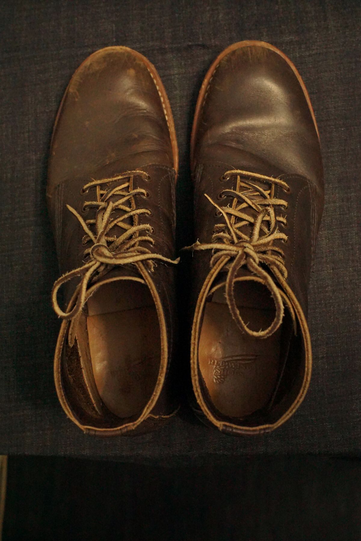 Photo by litespeedd on April 5, 2026 of the Red Wing 8061 Merchant in S.B. Foot Ebony Harness.