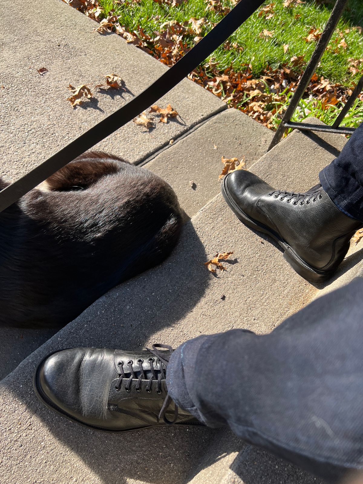 Photo by litespeedd on November 1, 2023 of the Unmarked All Purpose Boots in Cisne Black Vegetable-Tanned Bison.