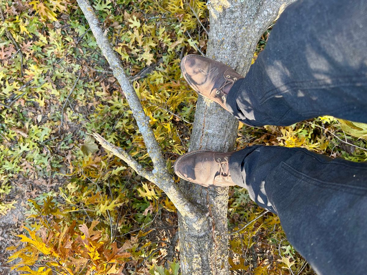 Photo by MasonAlbertini on November 17, 2025 of the Nicks Packer in Horween Brown Waxed Flesh.