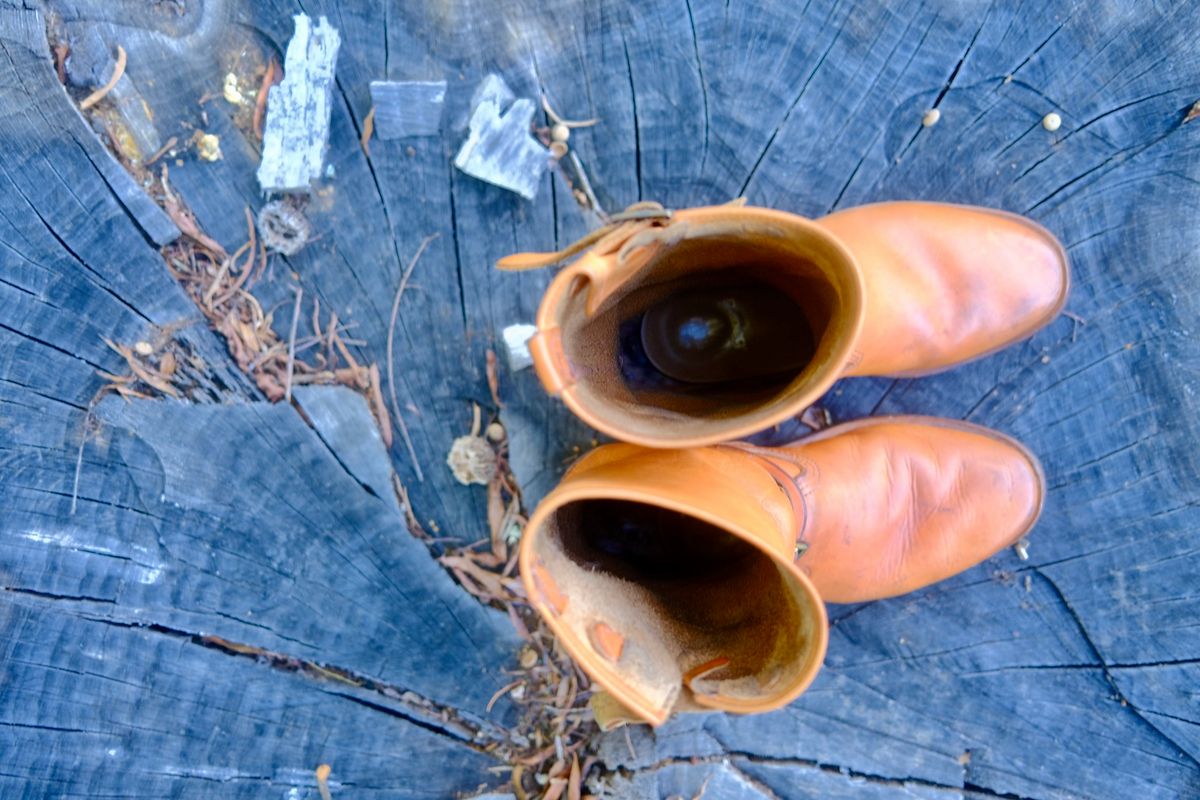 Photo by AndrewSutton on October 1, 2025 of the Wesco x S&S Van Cleef III in Horween Natural Essex.