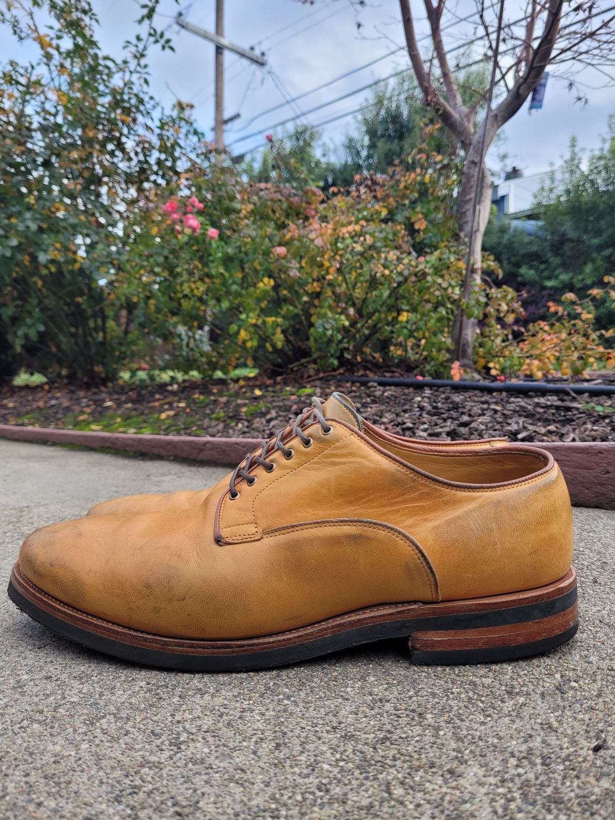 Photo by Slippy_Squeeze on January 3, 2023 of the Viberg Derby Shoe in Shinki Camel Latigo Horsehide.